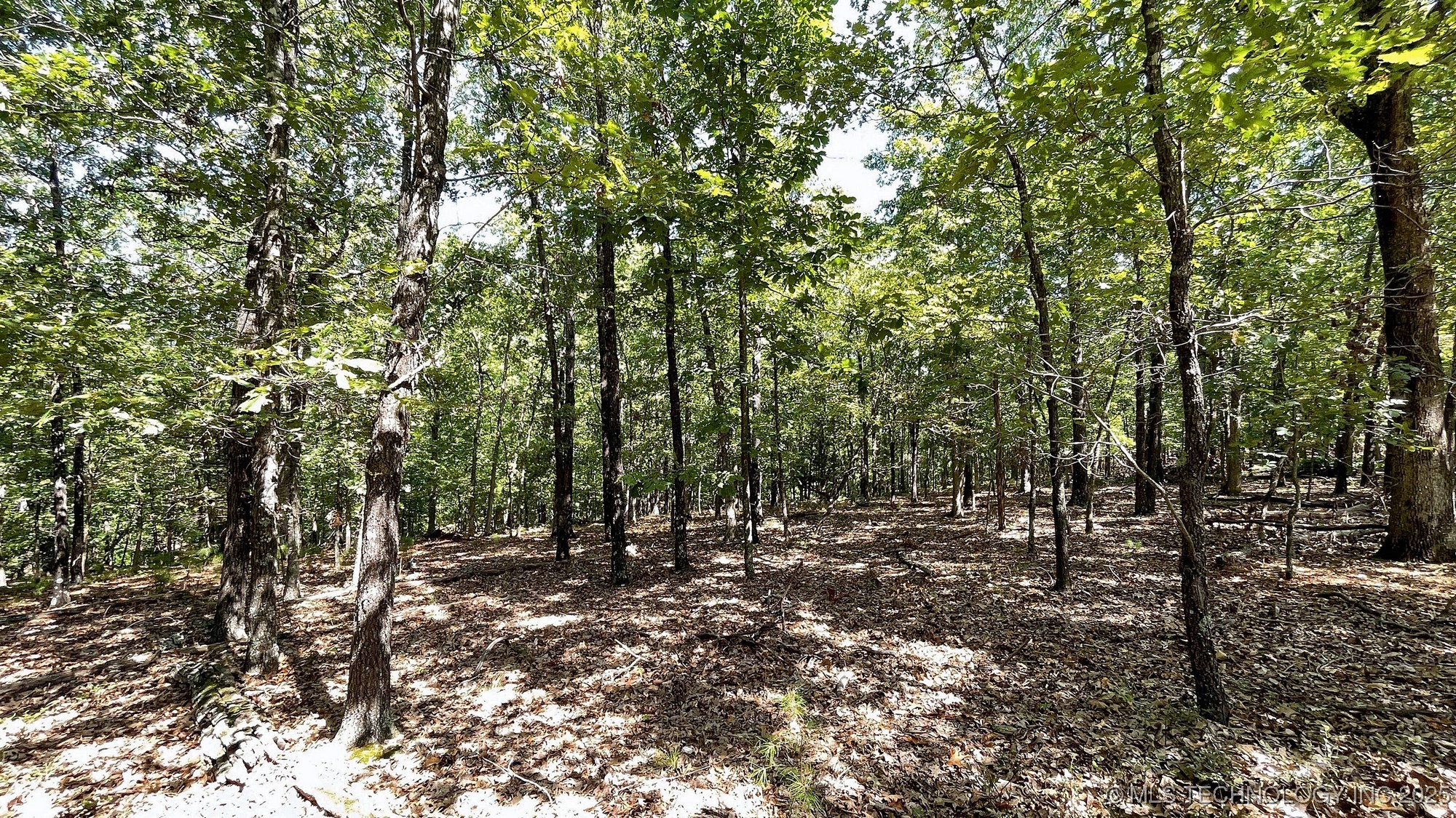 492 Deer Creek Road Property Photo 7