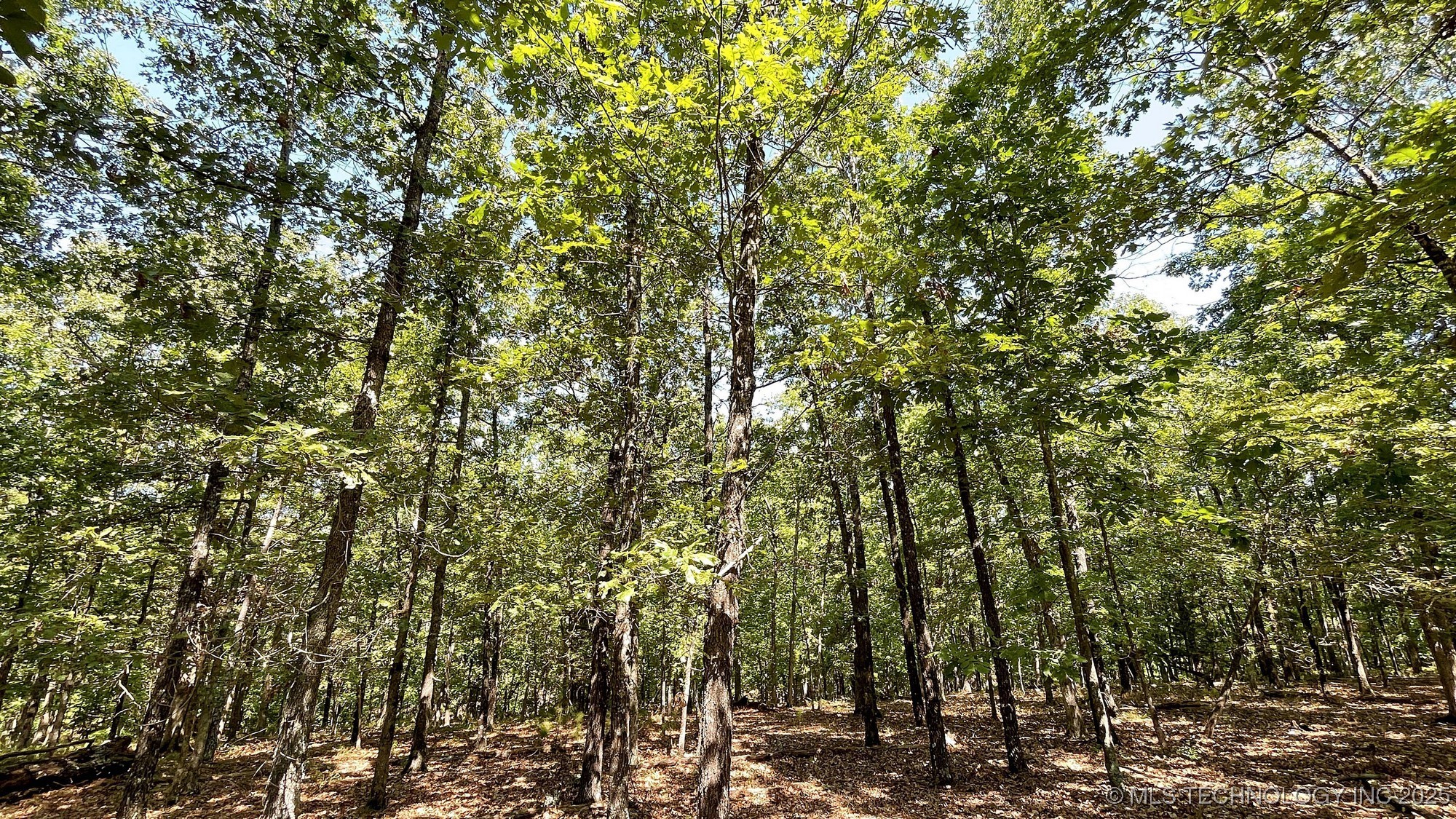 492 Deer Creek Road Property Photo 8