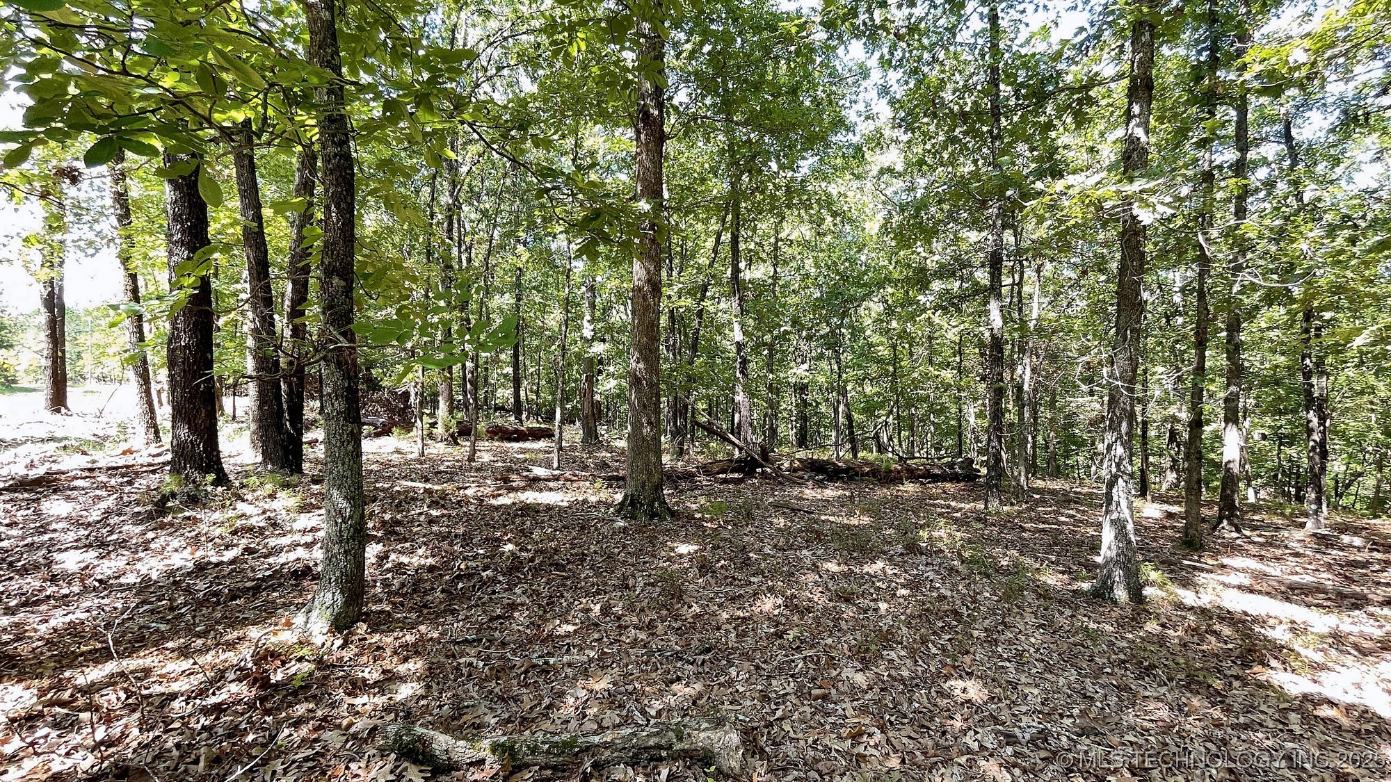 492 Deer Creek Road Property Photo 9