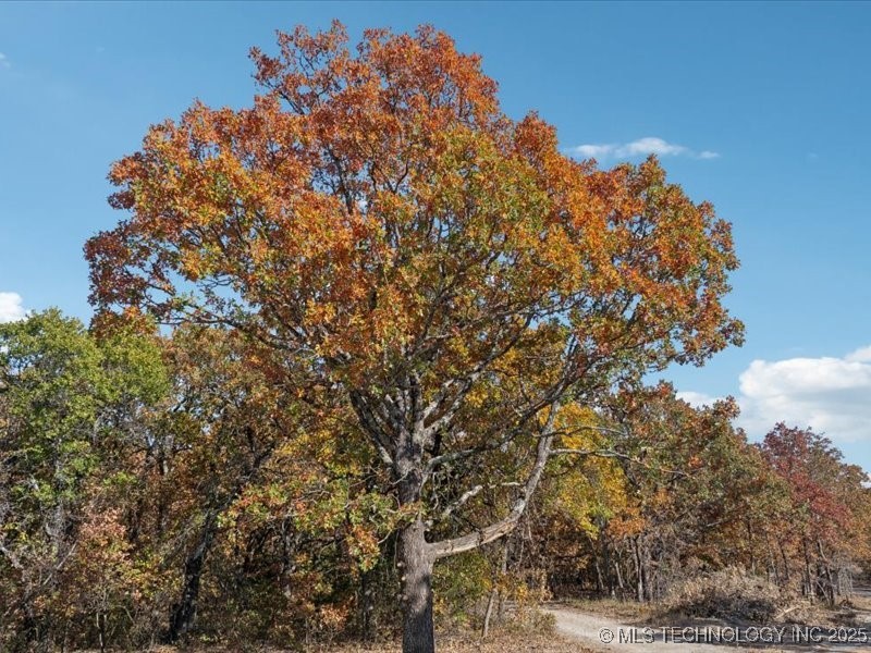 5 Thousand Oaks Road Property Photo 7