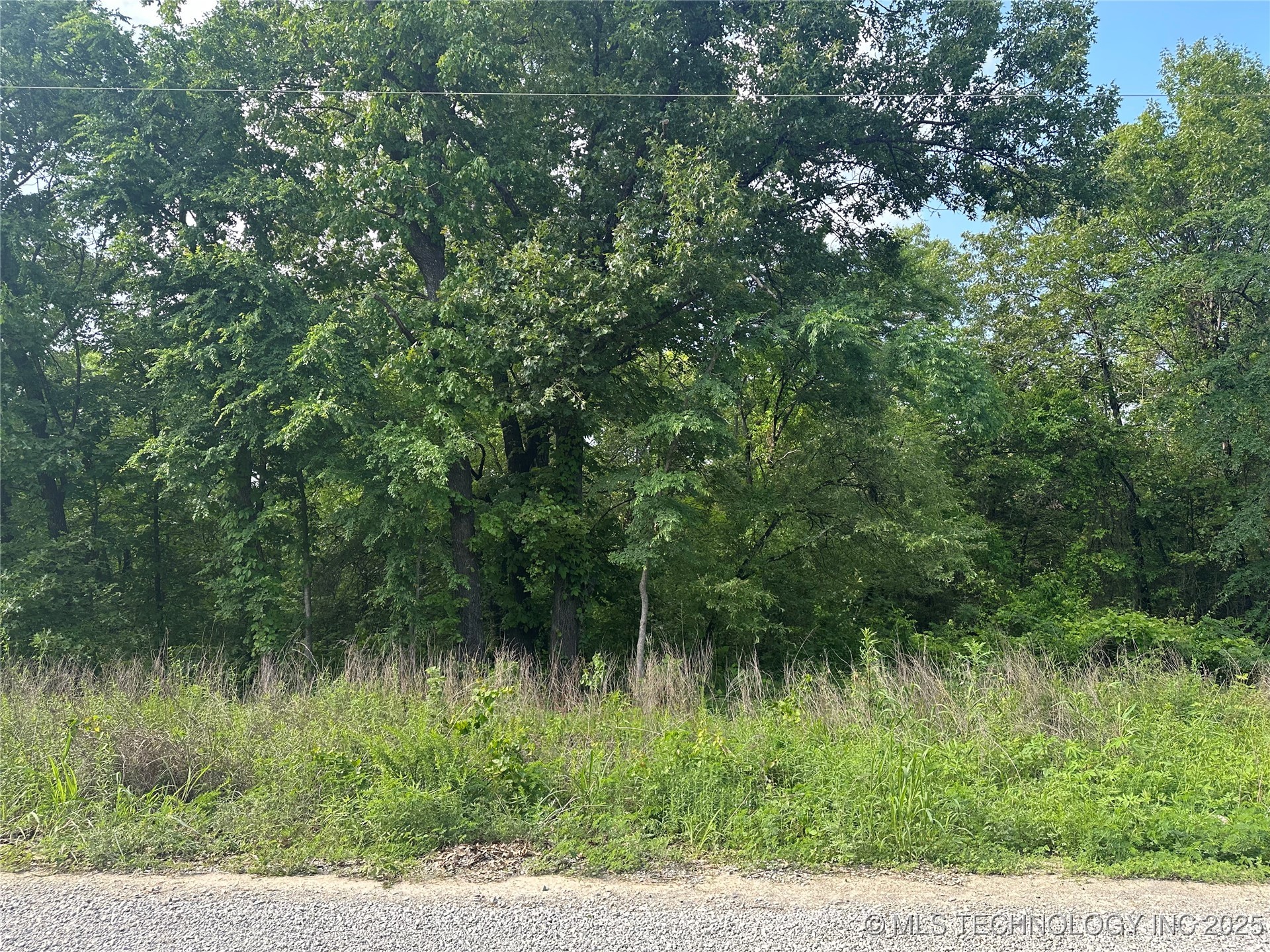 Cedar Property Photo 3