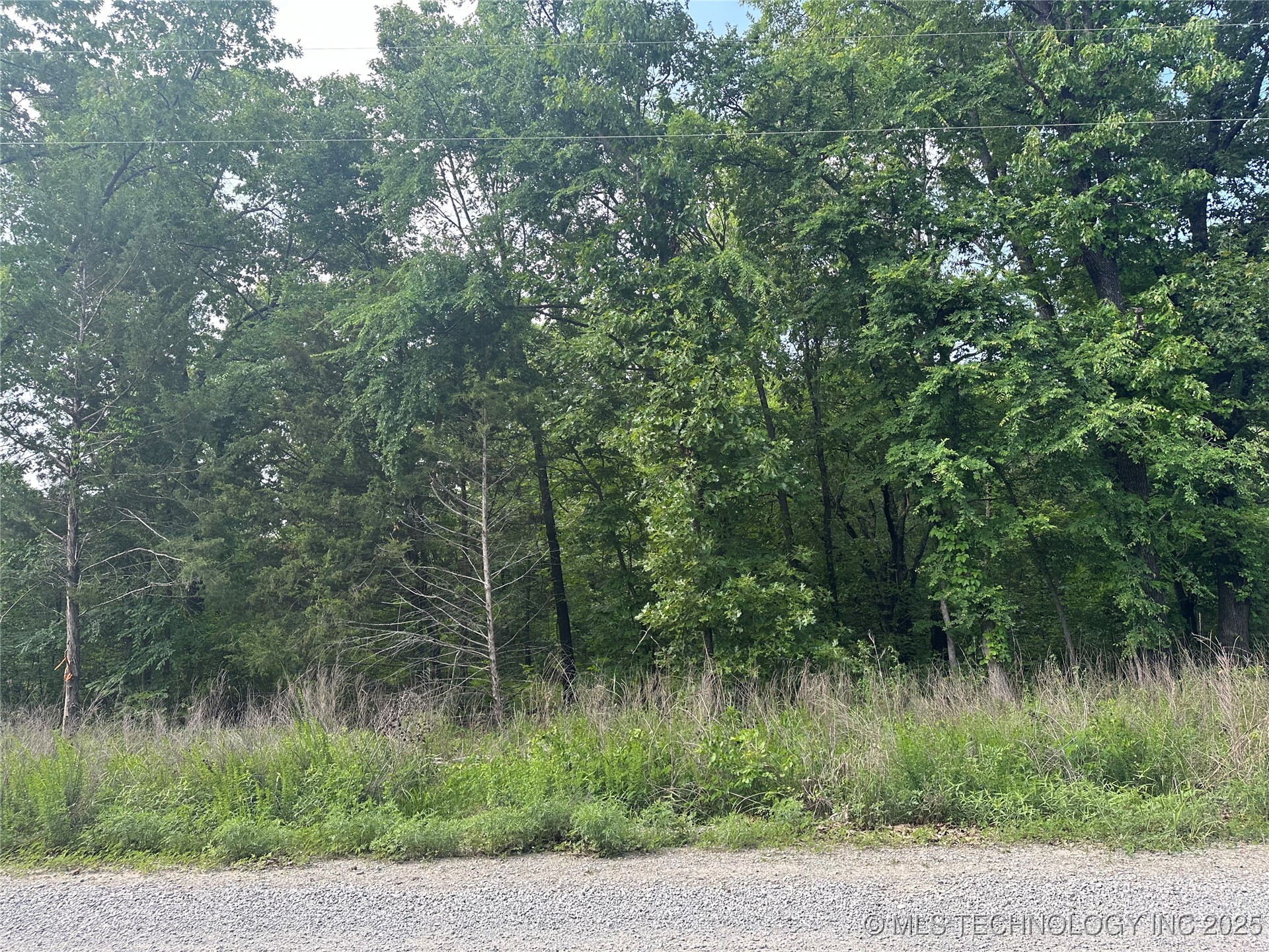 Cedar Property Photo 4