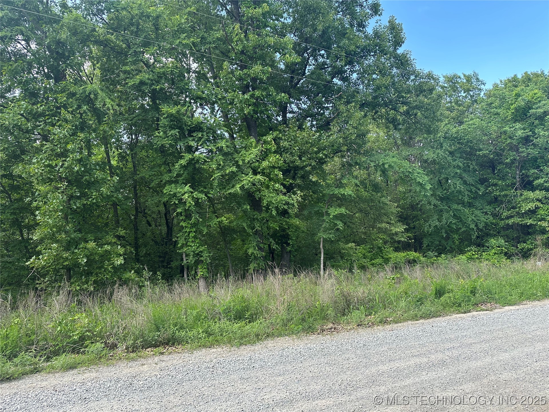 Cedar Property Photo 5