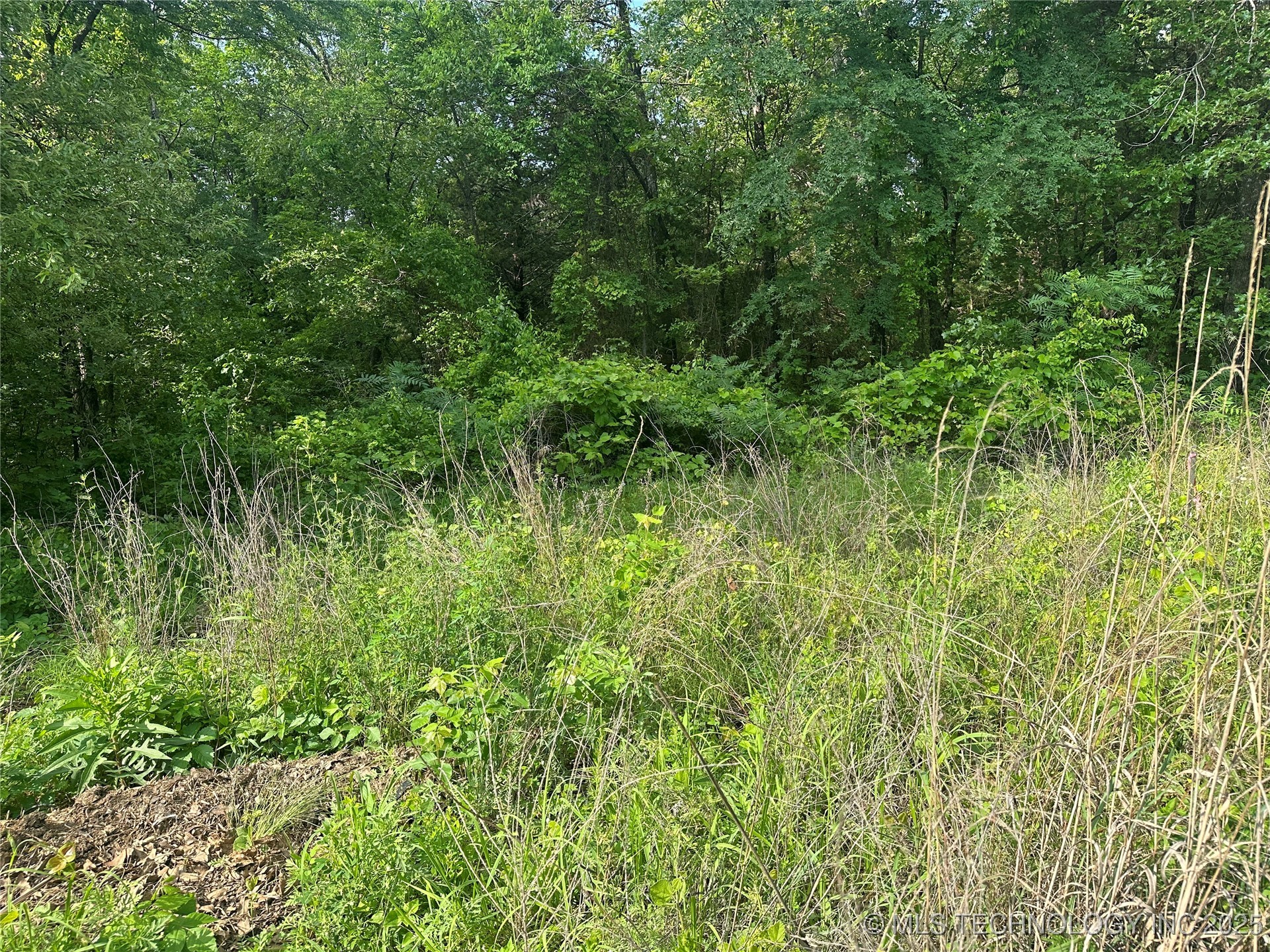 Cedar Property Photo 6