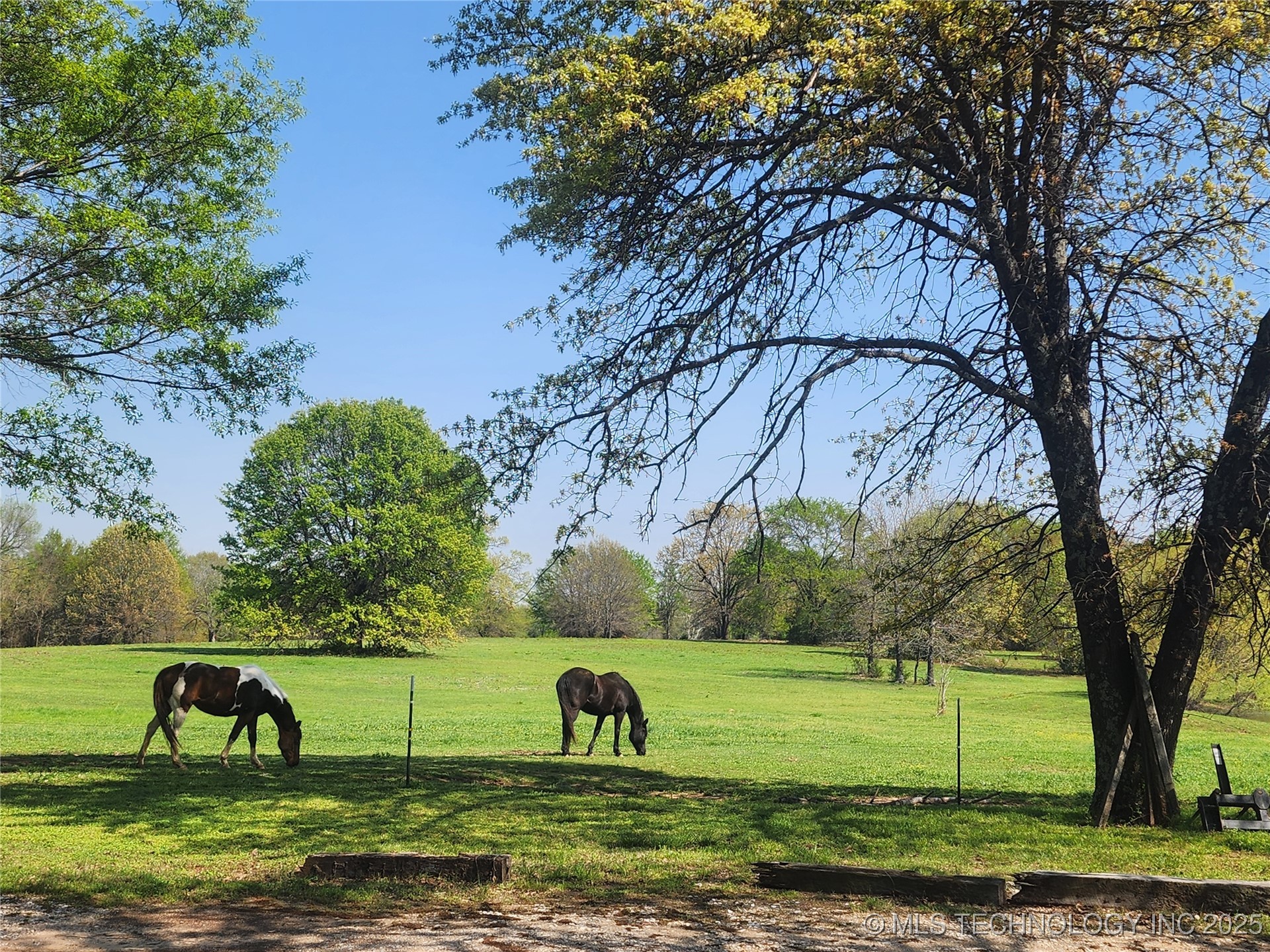 529 Sawbriar Property Photo 2