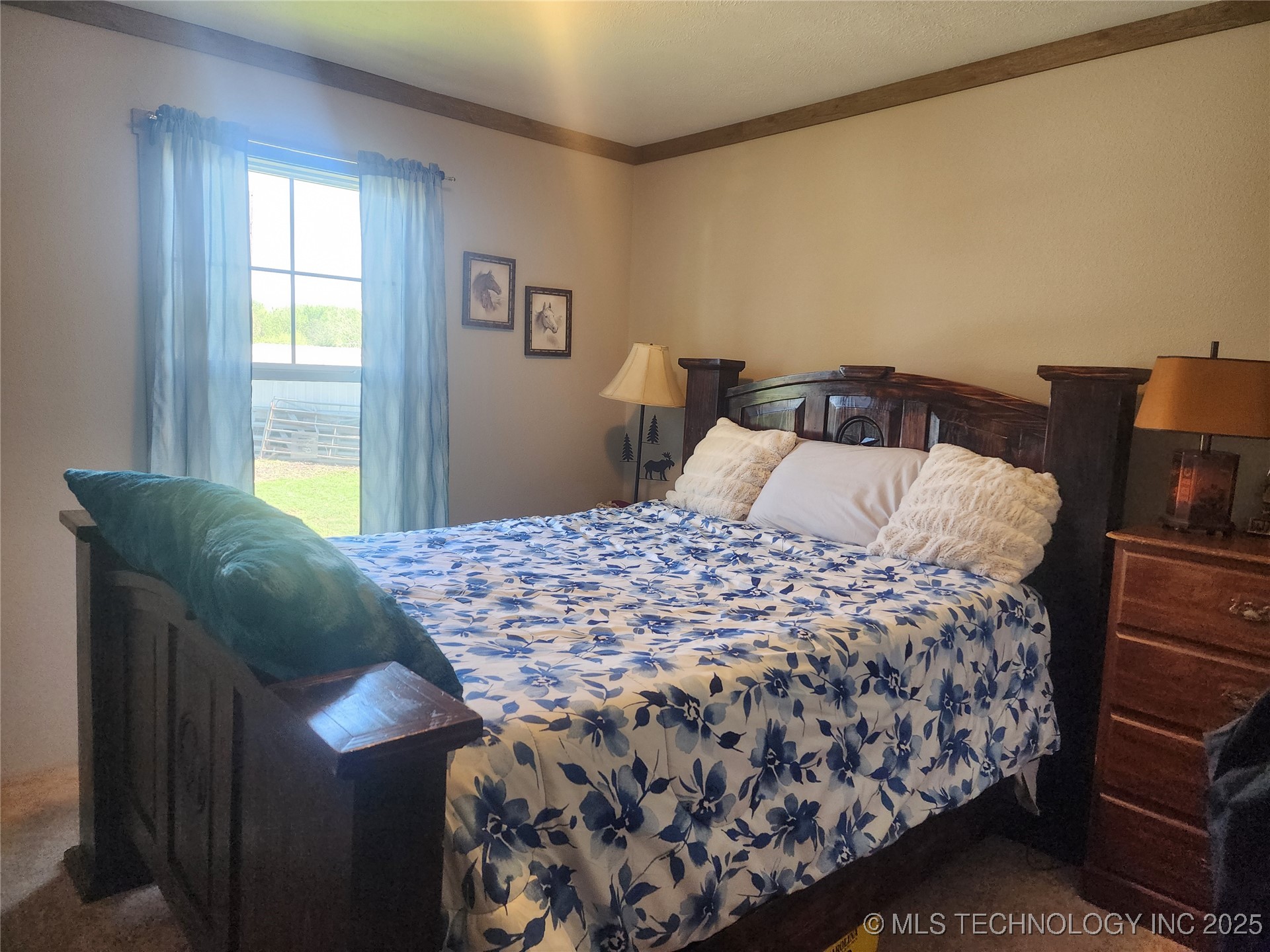 529 Sawbriar Property Photo 19