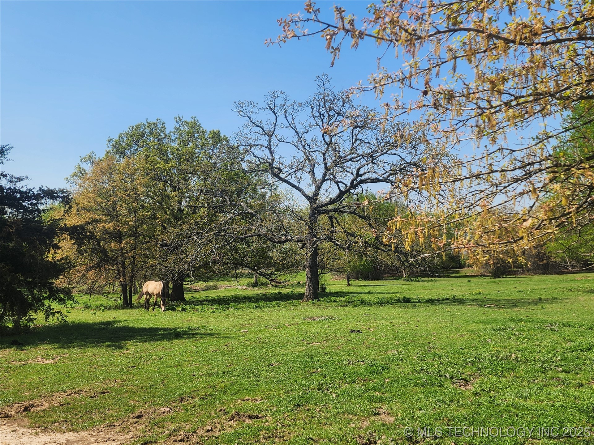 529 Sawbriar Property Photo 25