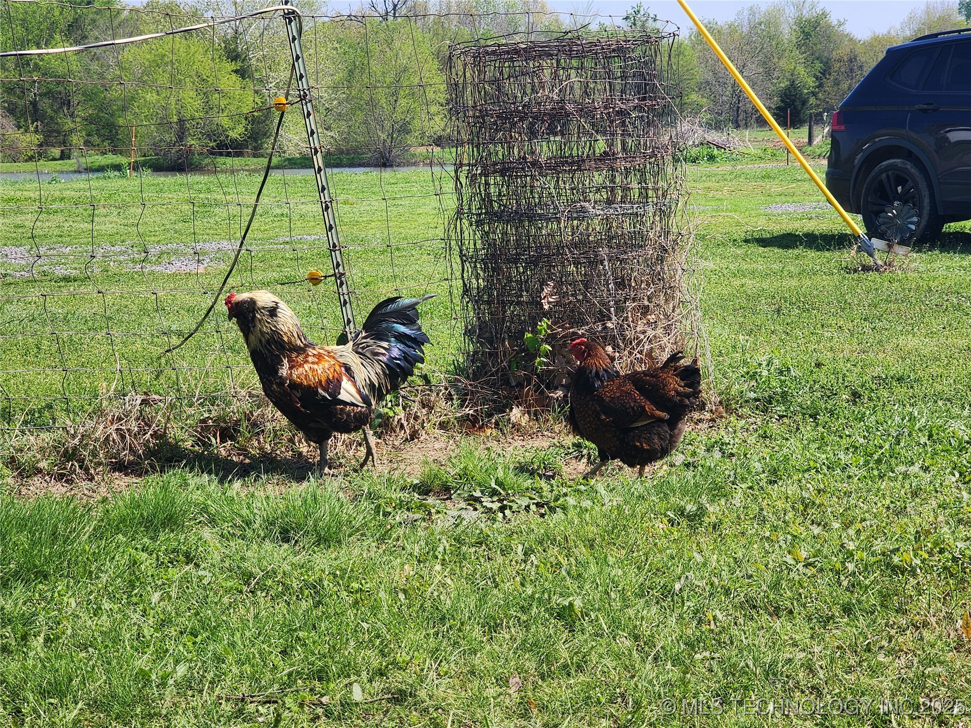 529 Sawbriar Property Photo 26