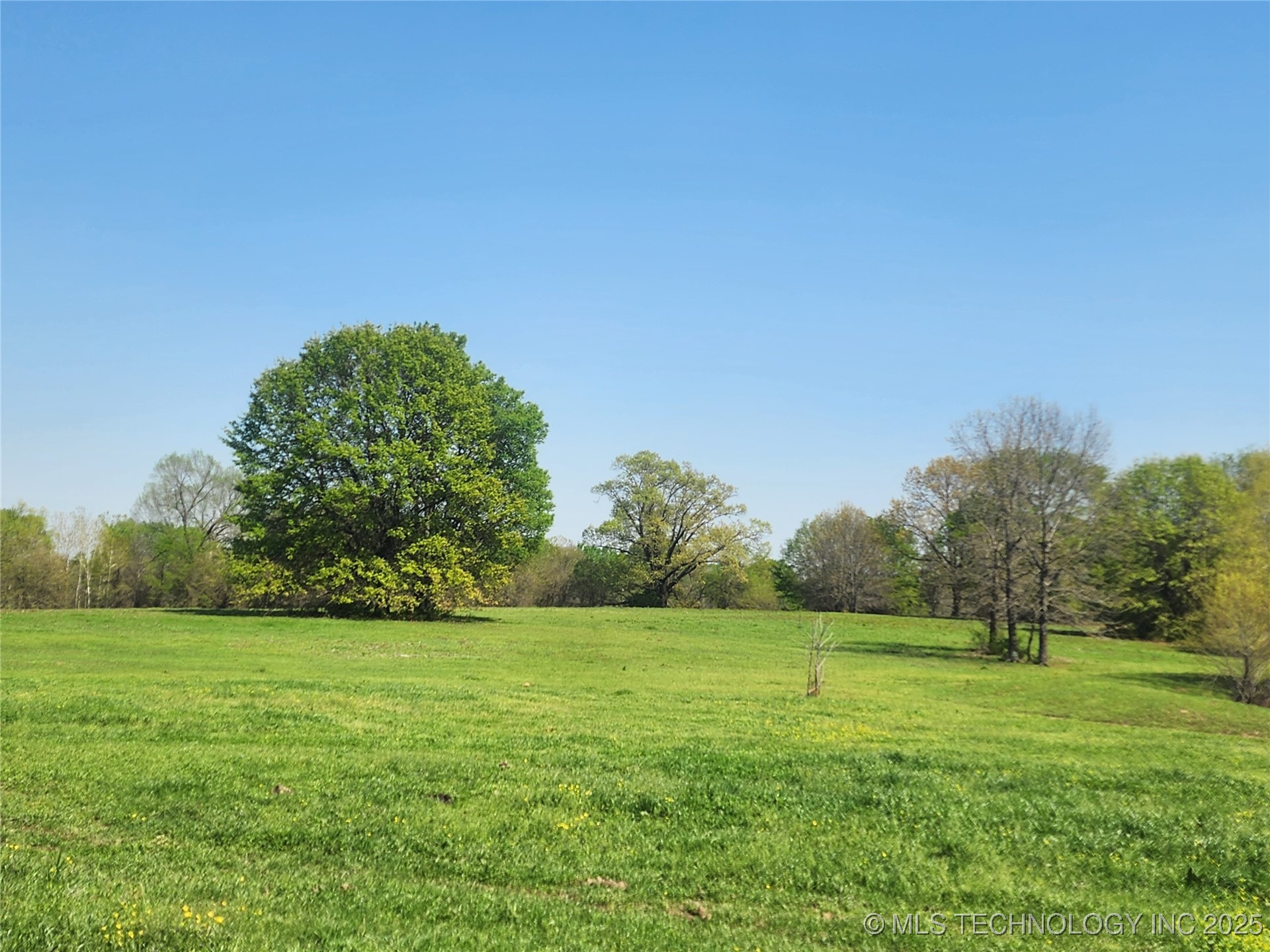 529 Sawbriar Property Photo 27