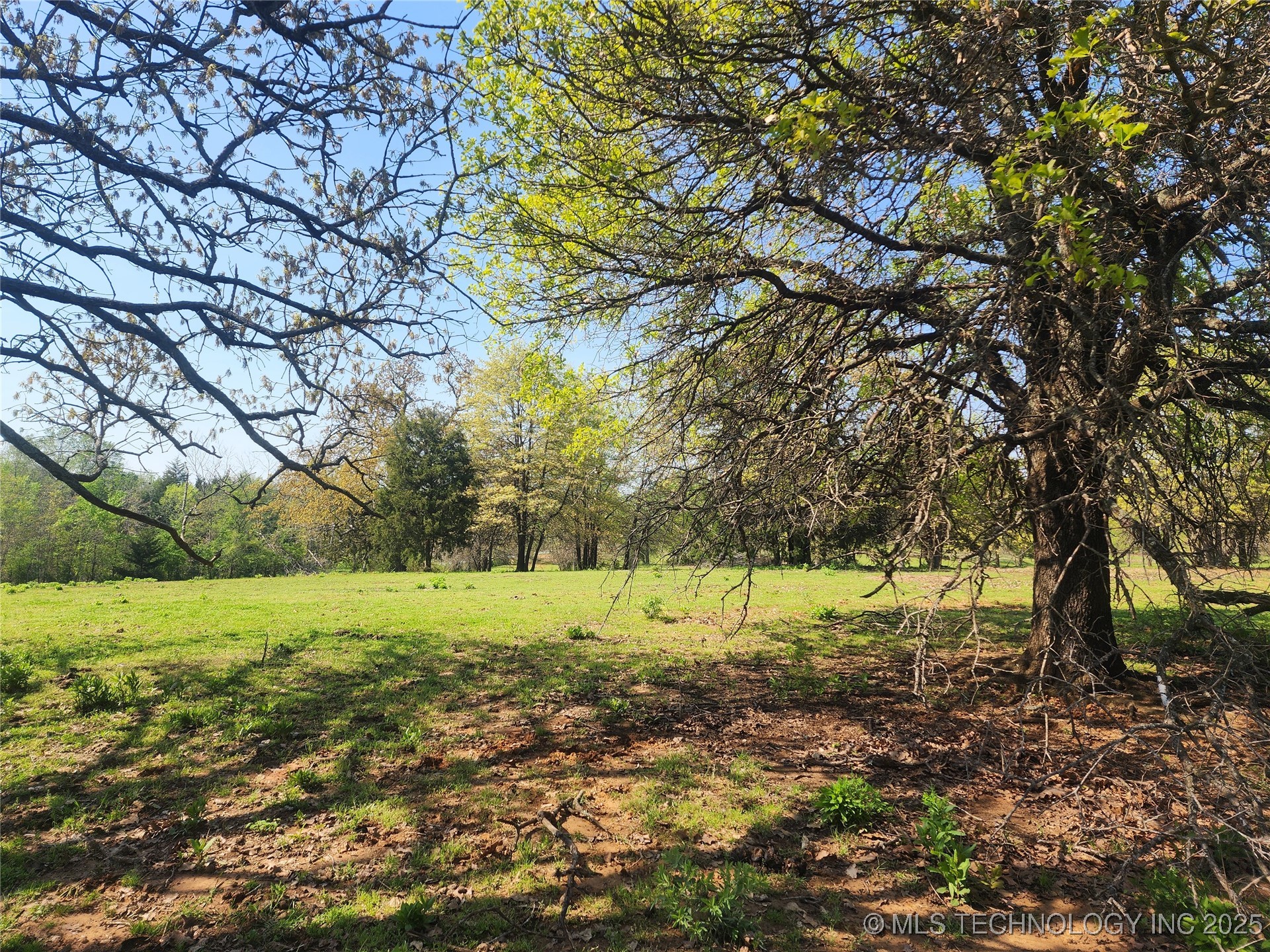 529 Sawbriar Property Photo 35