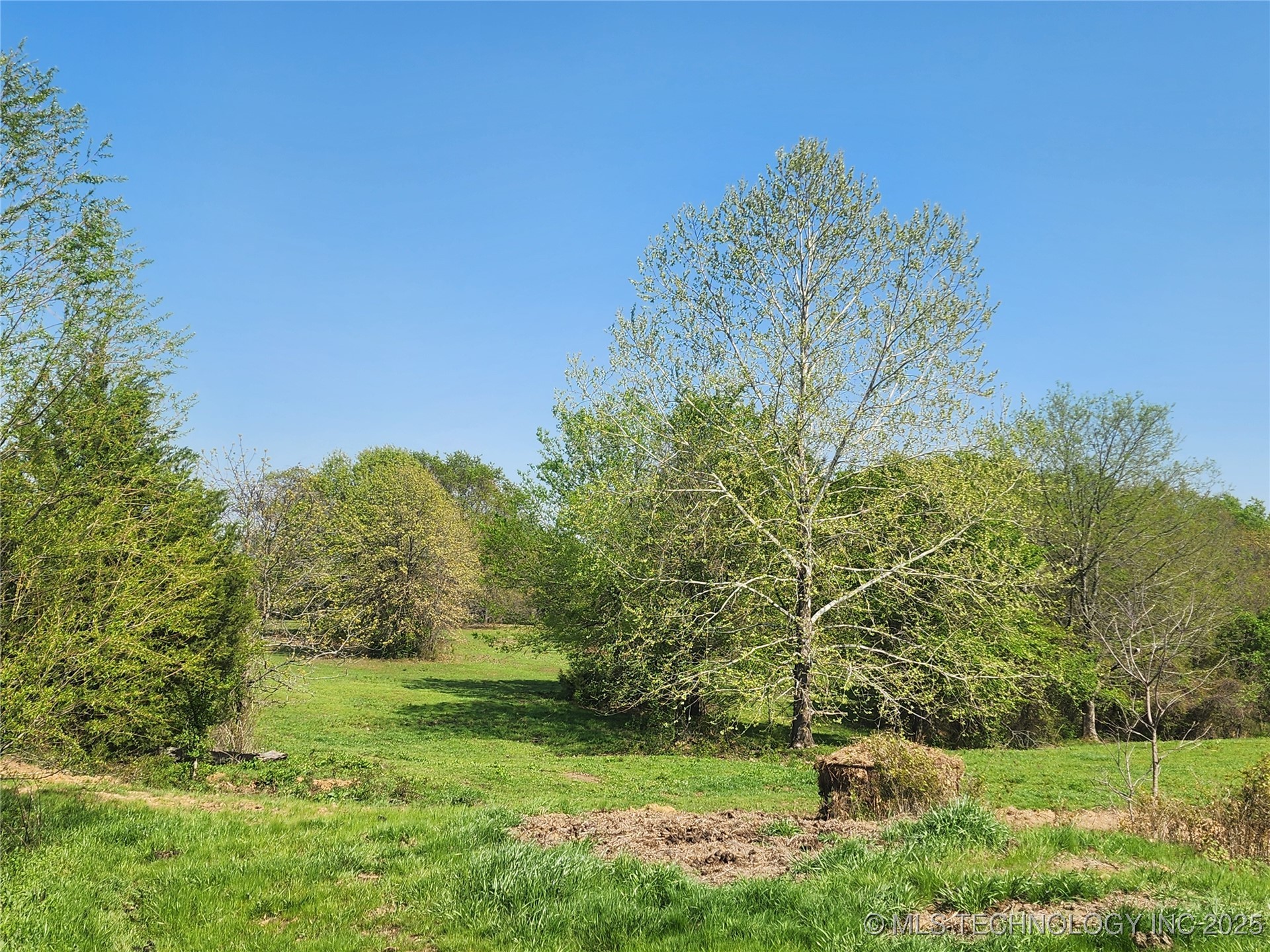 529 Sawbriar Property Photo 37