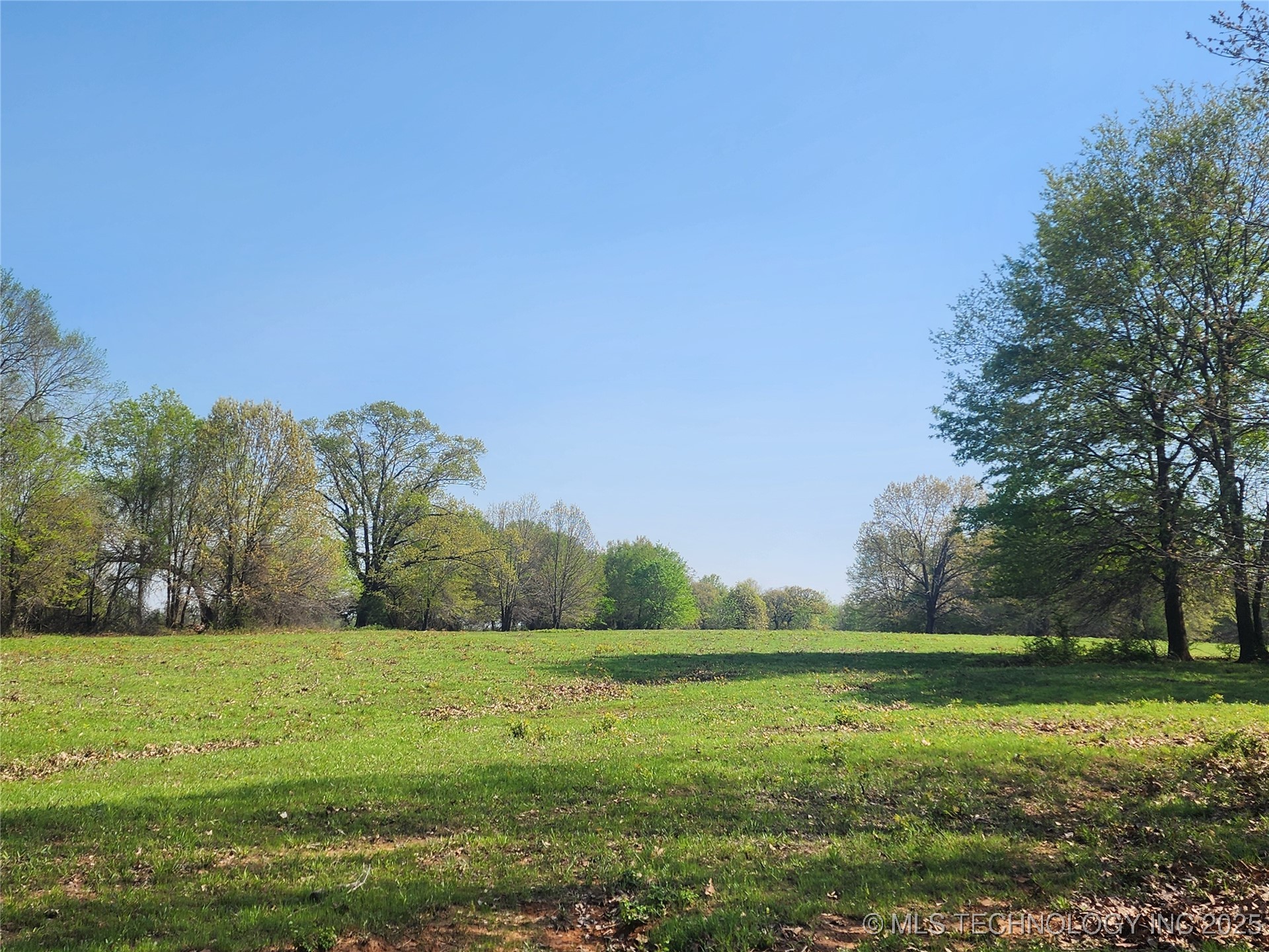 529 Sawbriar Property Photo 39