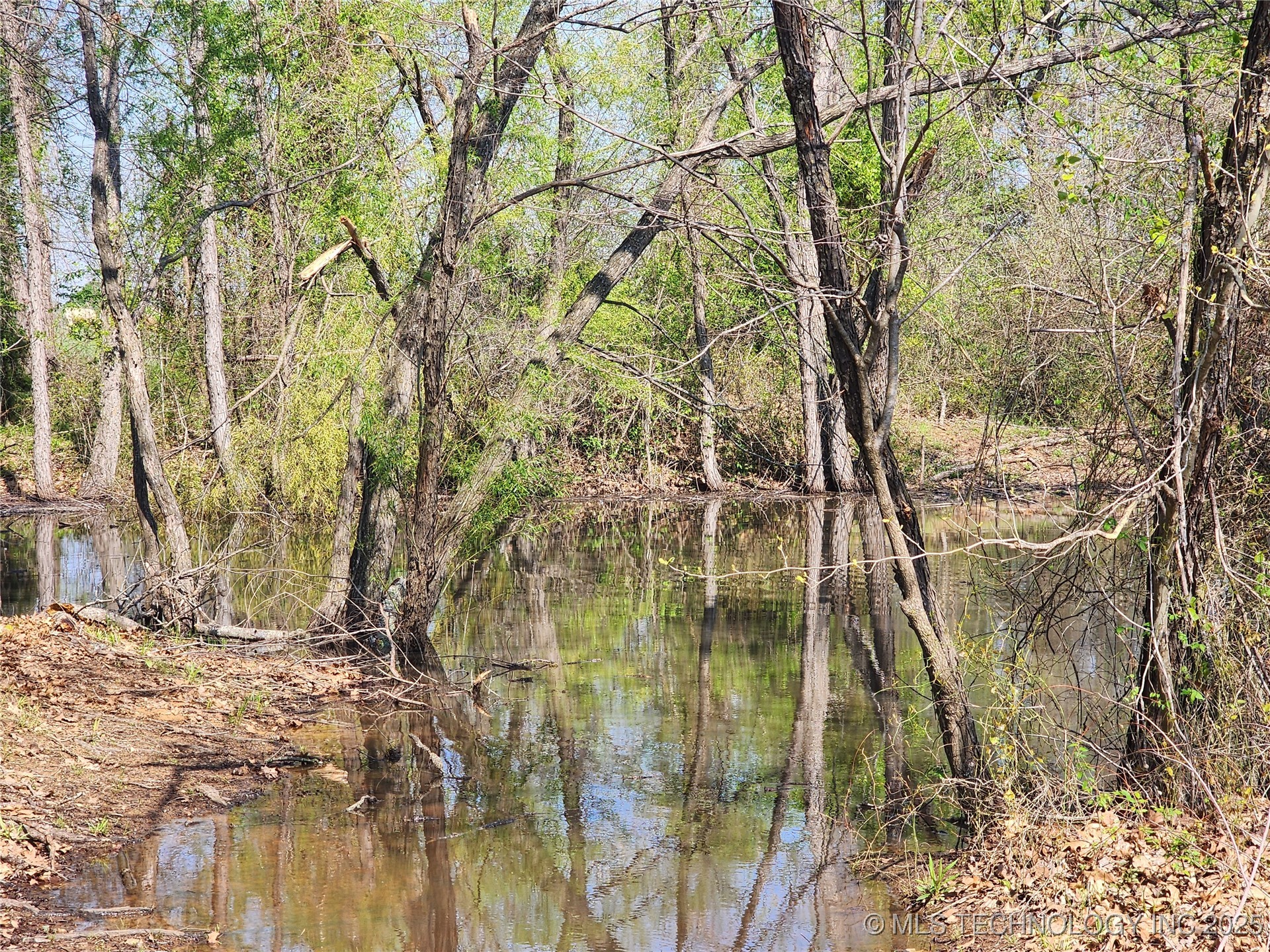 529 Sawbriar Property Photo 40