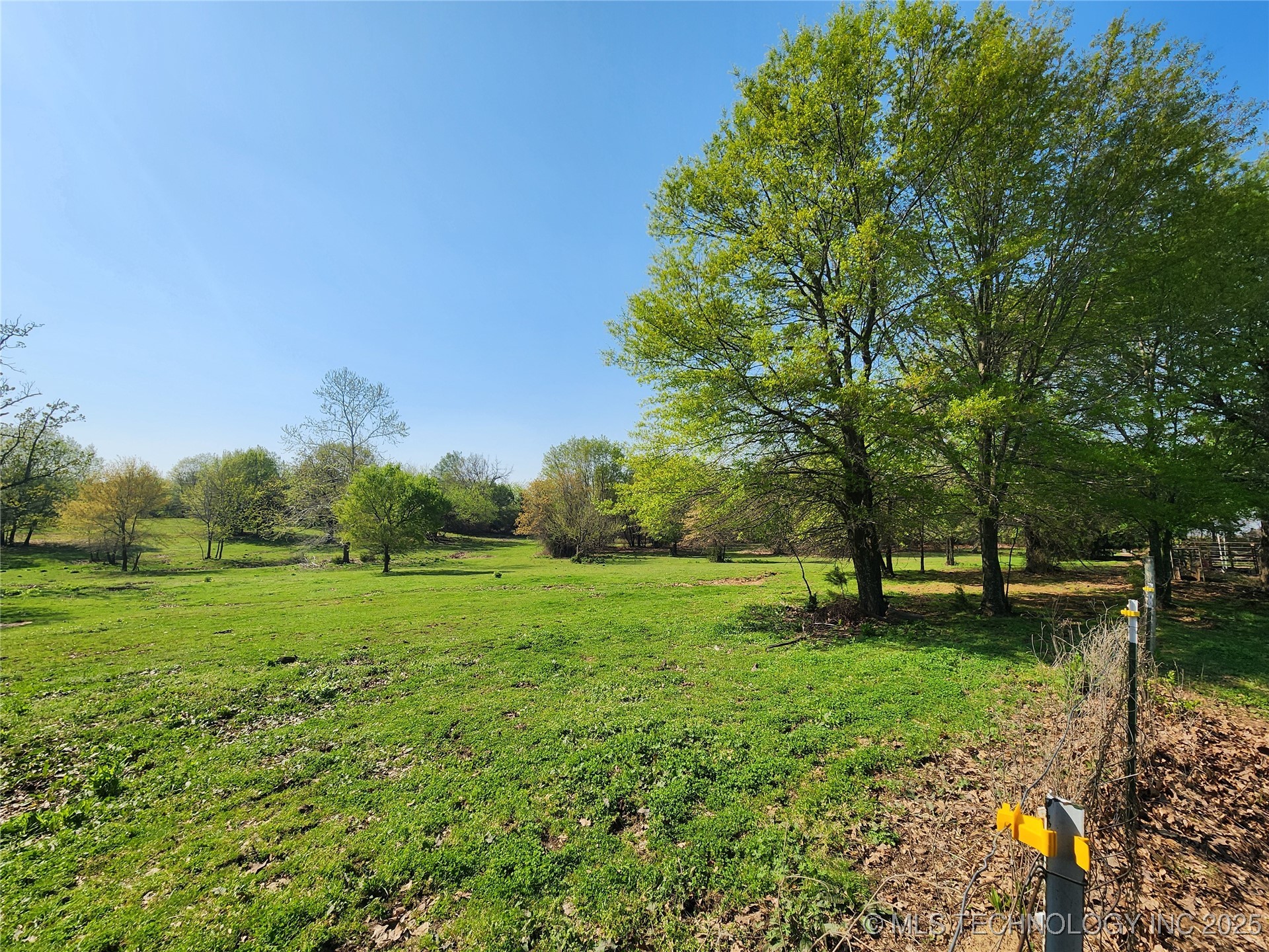 529 Sawbriar Property Photo 44