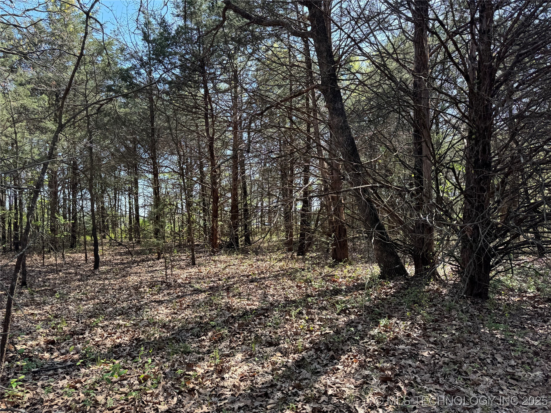 Canada Property Photo 3