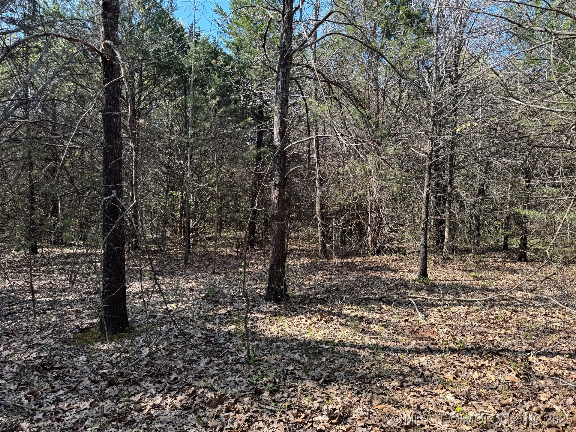 Canada Property Photo 4