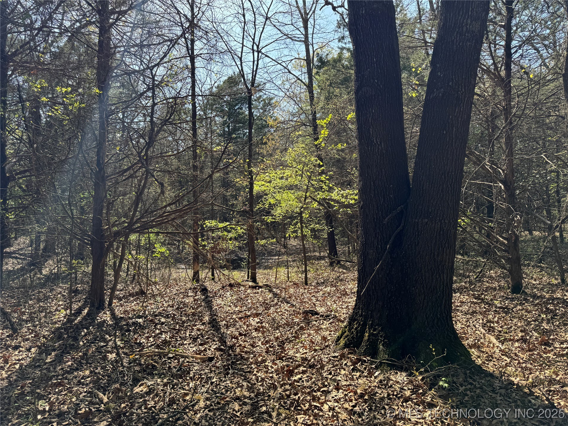 Canada Property Photo 5