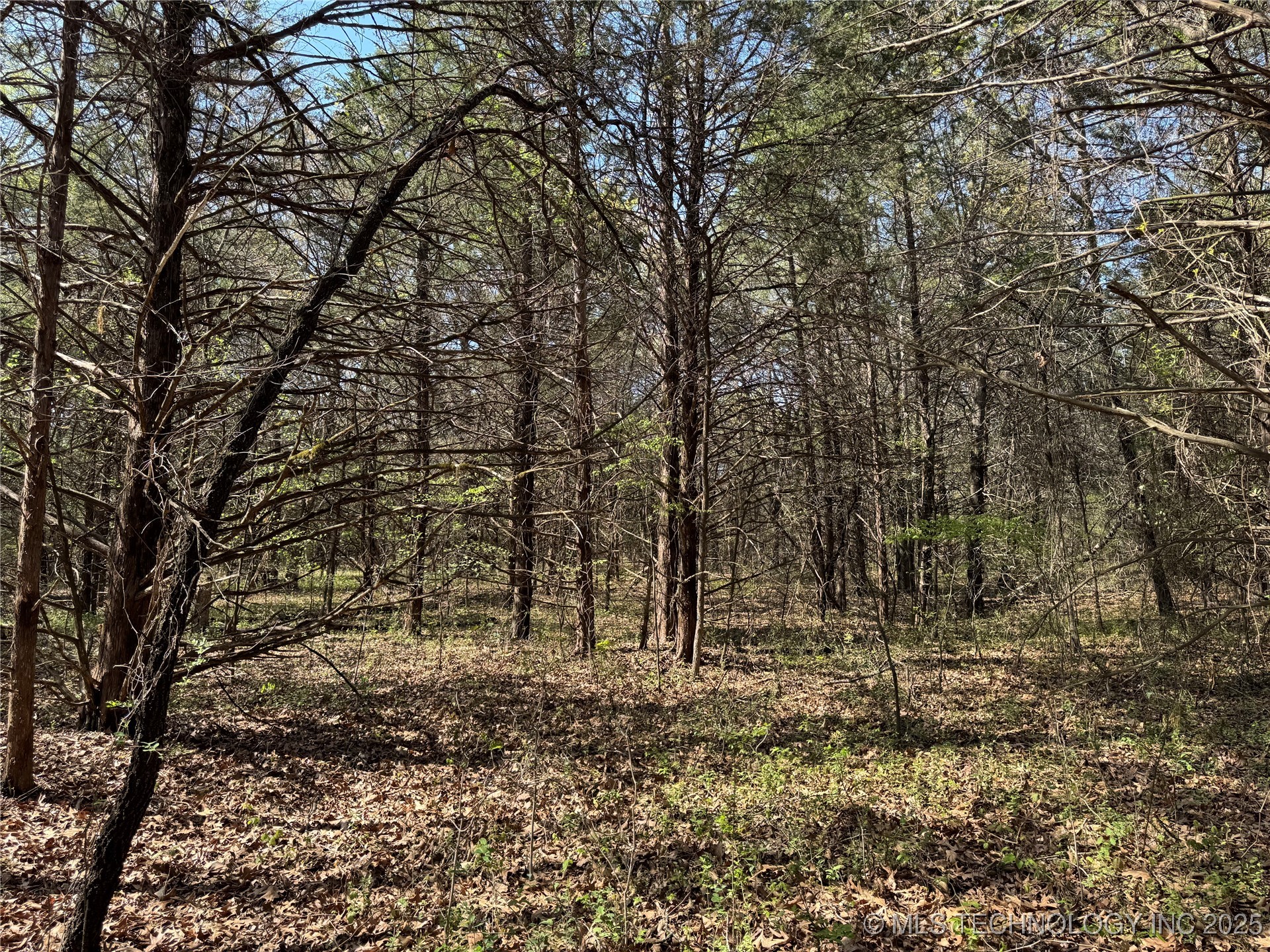 Canada Property Photo 6