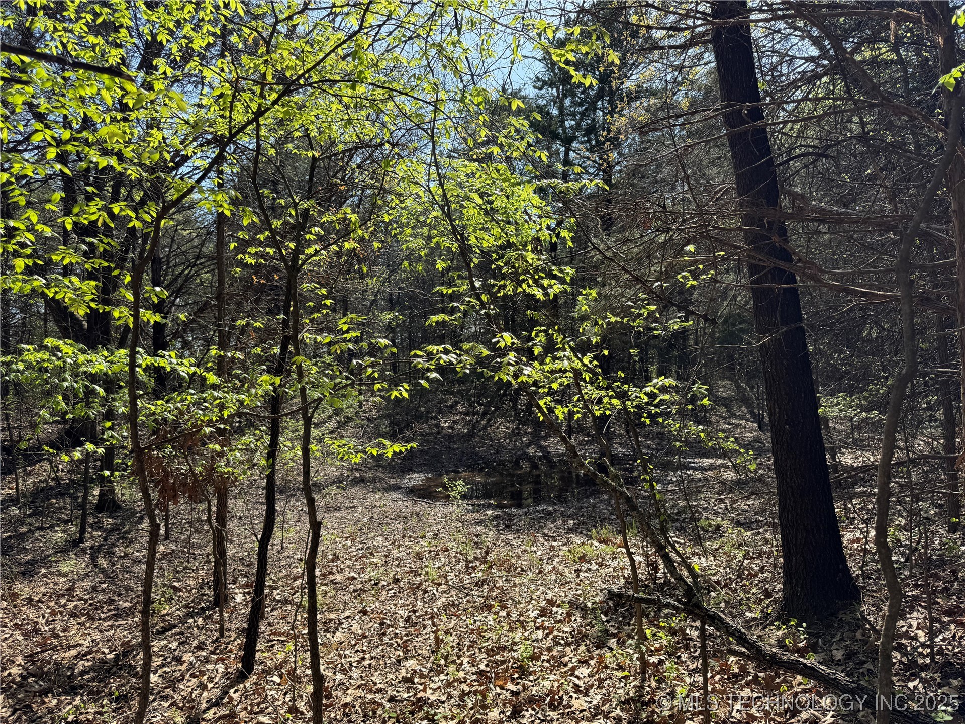 Canada Property Photo 7