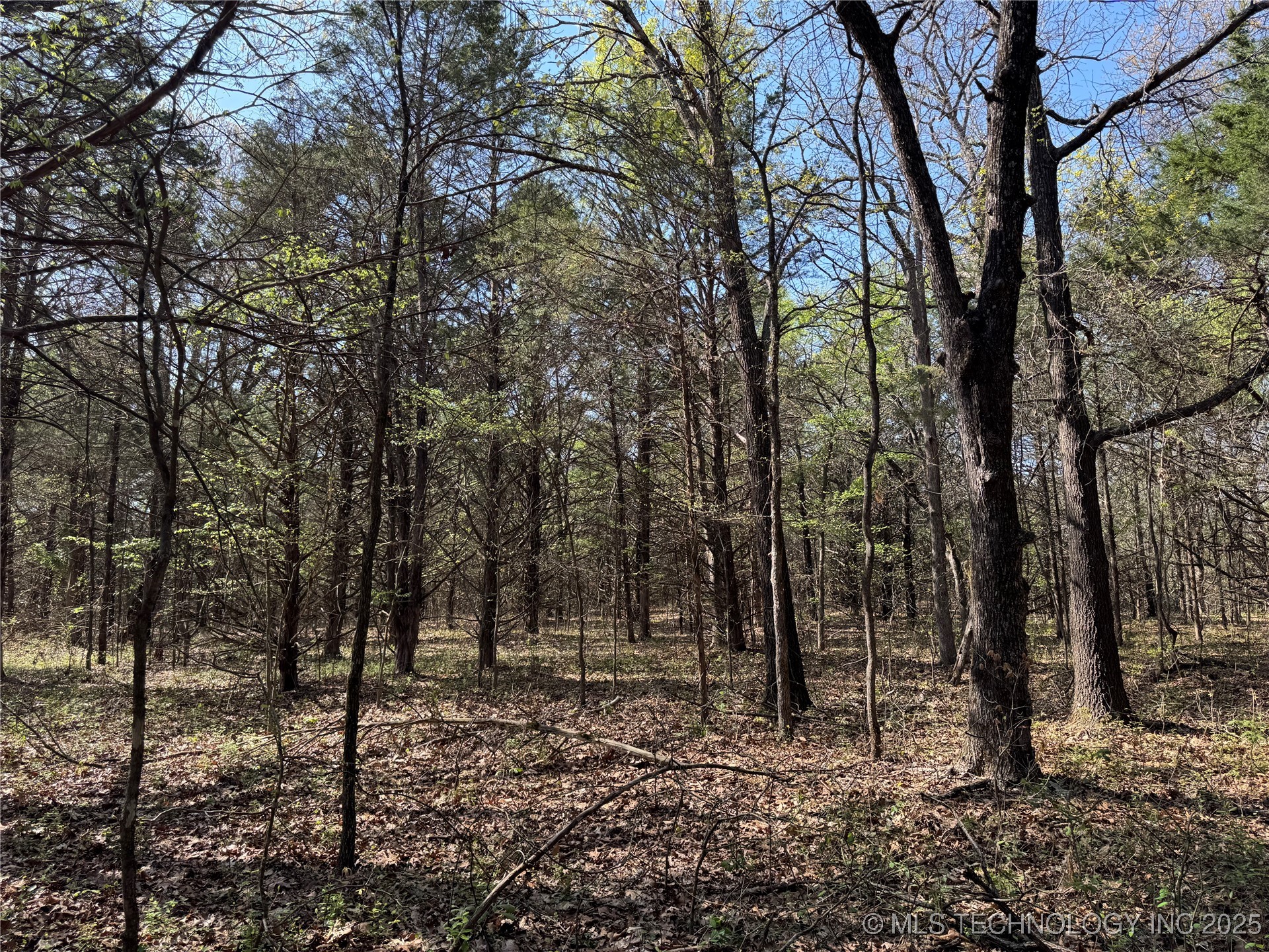 Canada Property Photo 8