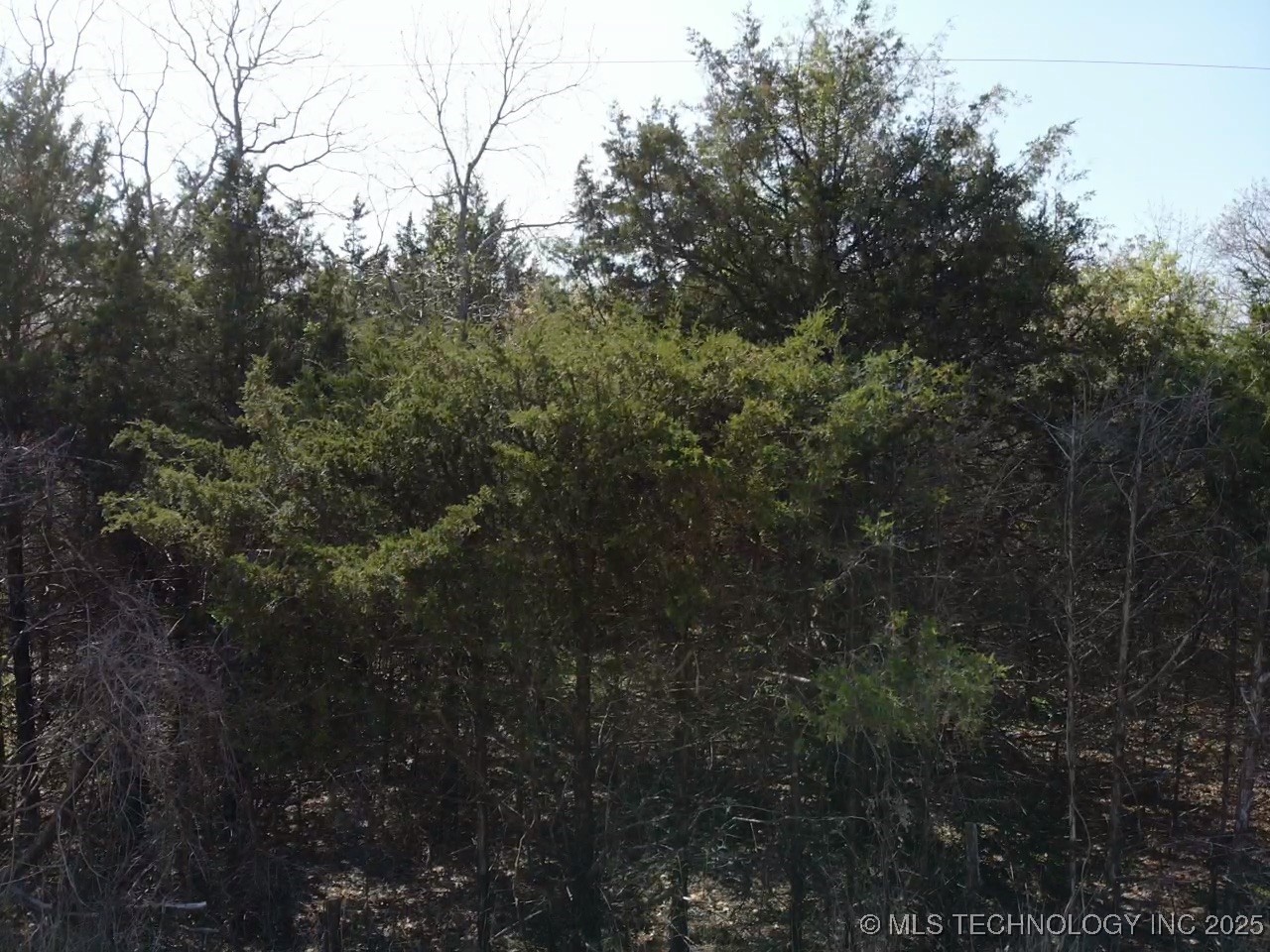 Canada Property Photo 13