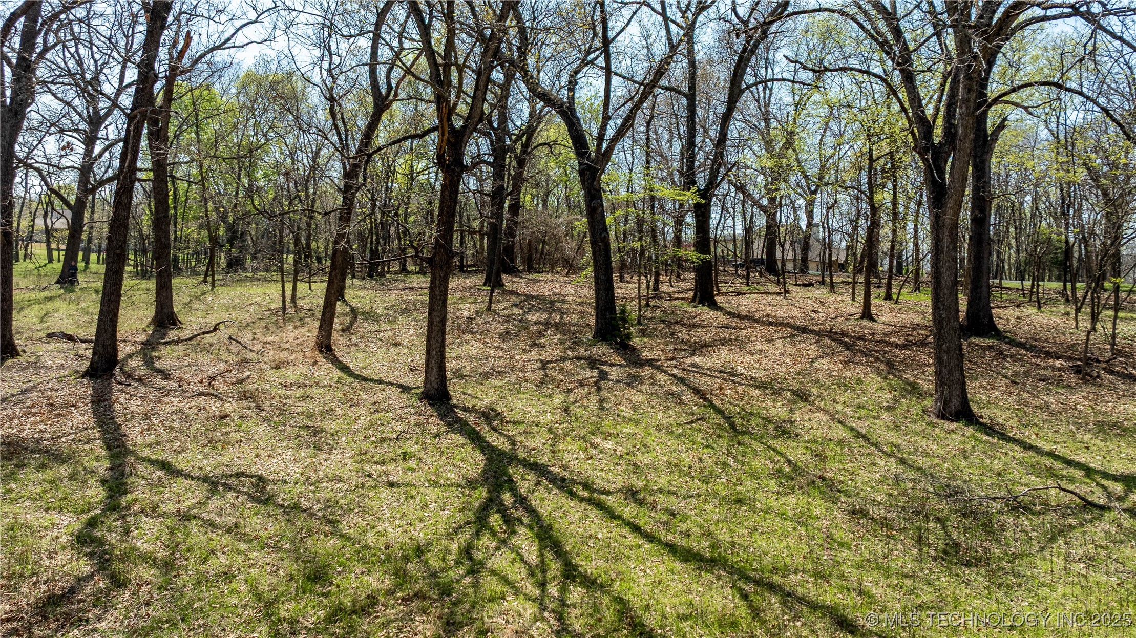 Blue Grouse Lane Property Photo 9