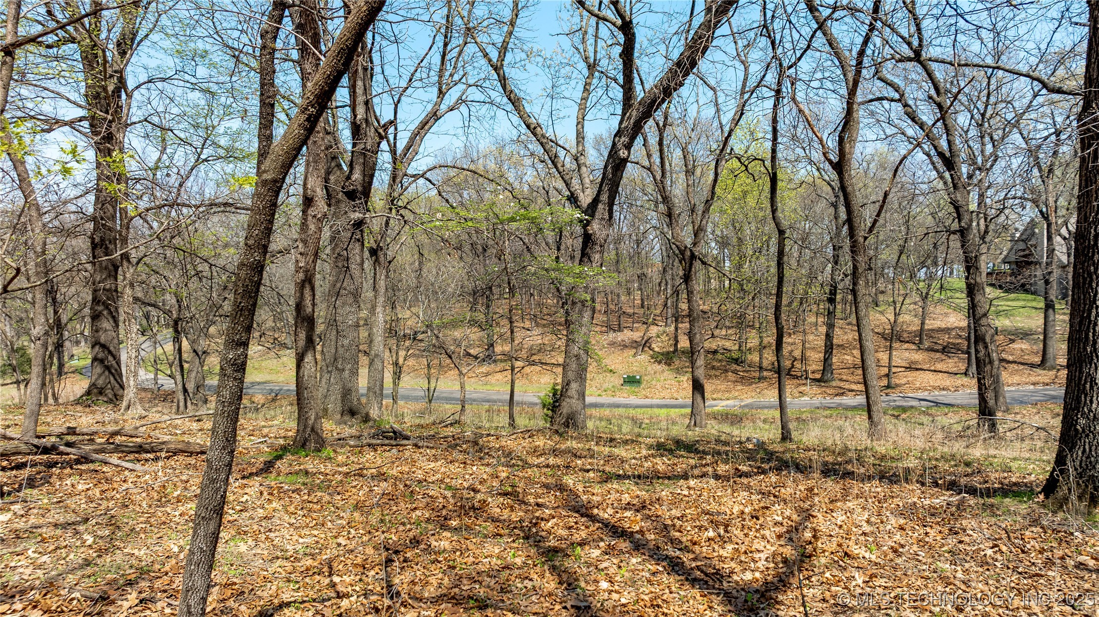 Blue Grouse Lane Property Photo 11