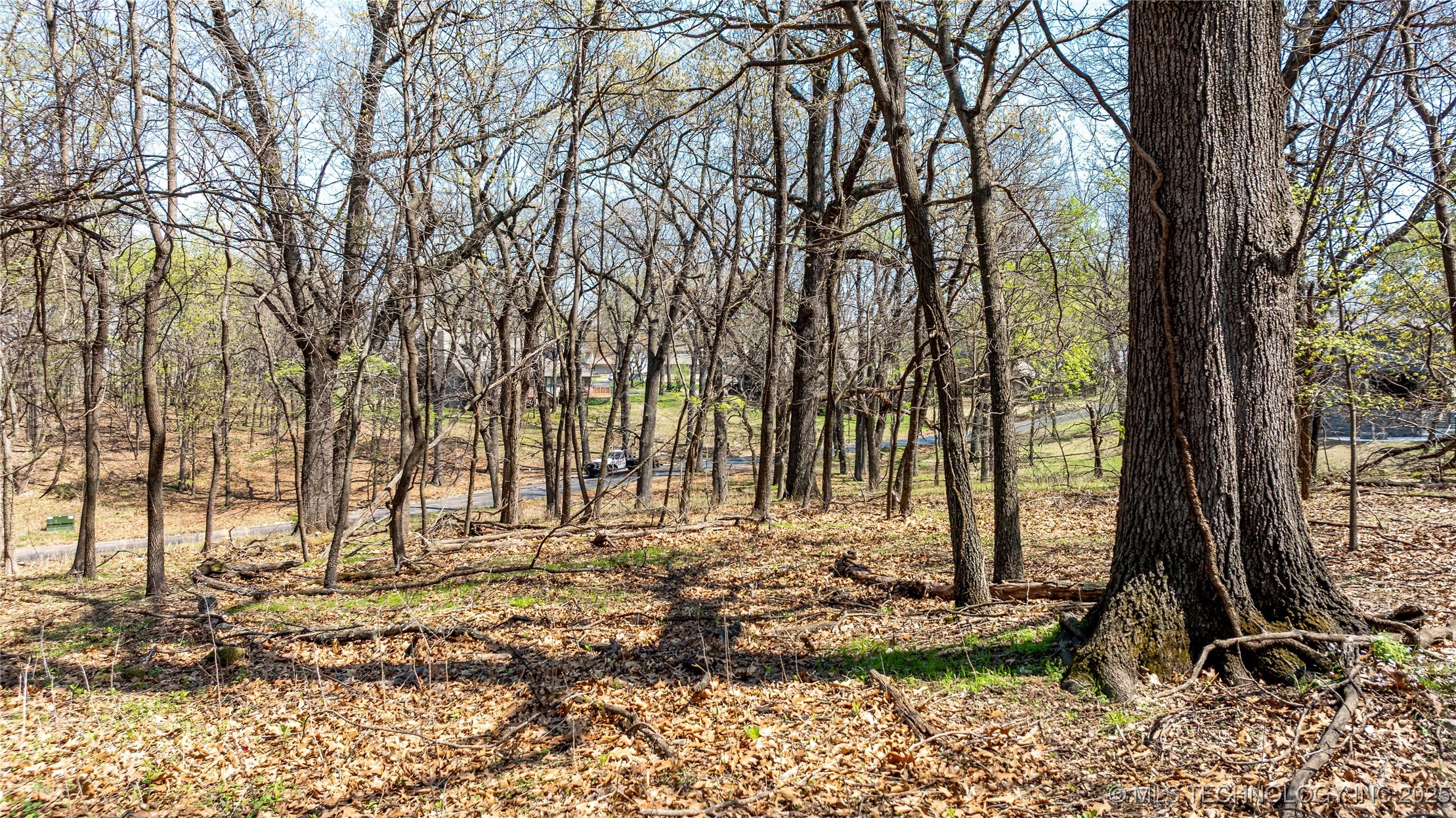 Blue Grouse Lane Property Photo 12