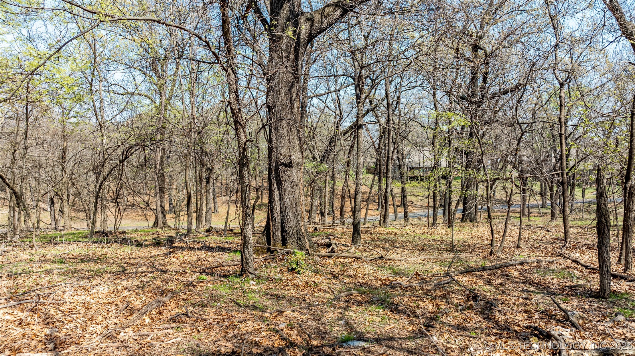 Blue Grouse Lane Property Photo 13