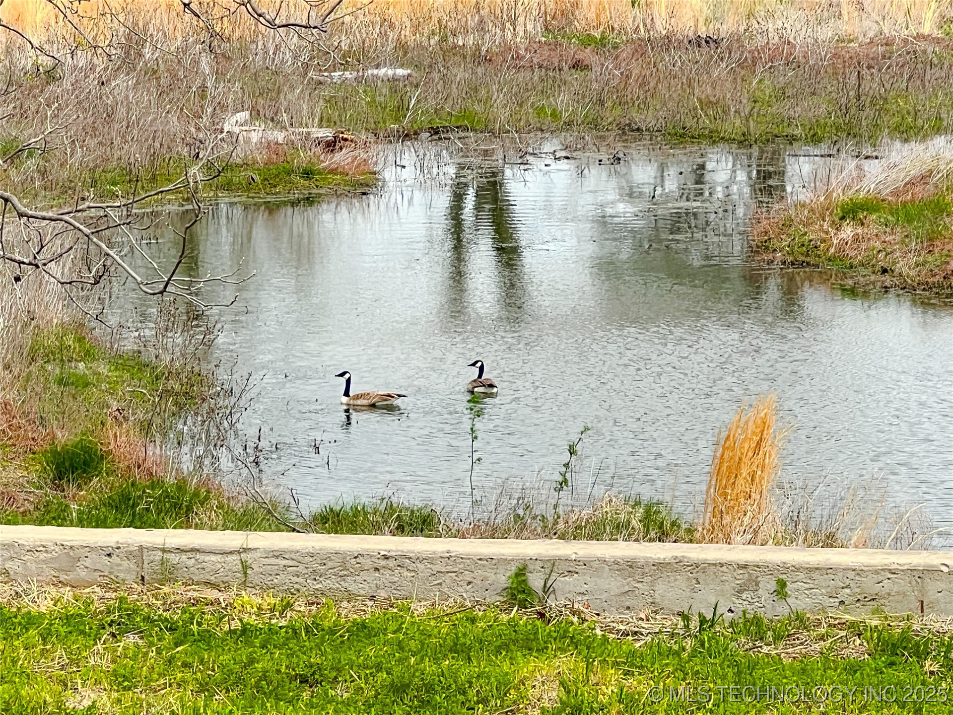 11261 Highway 51 Highway Property Photo 19