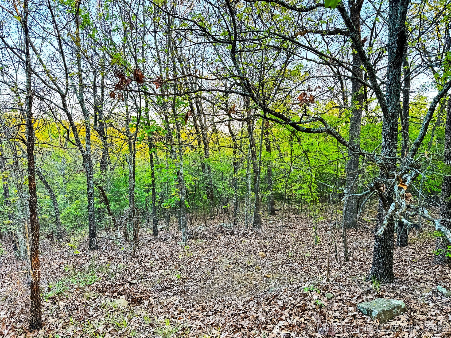 3637 E 1213 Road Property Photo 6