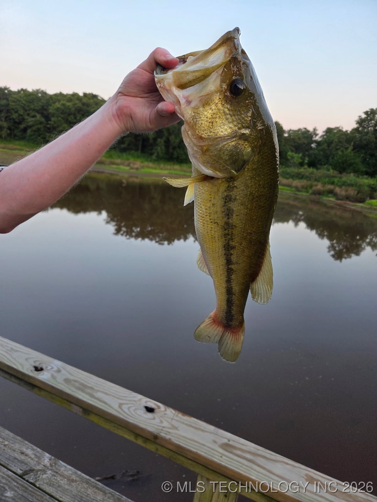 20536 S 417th West Avenue Property Photo 17