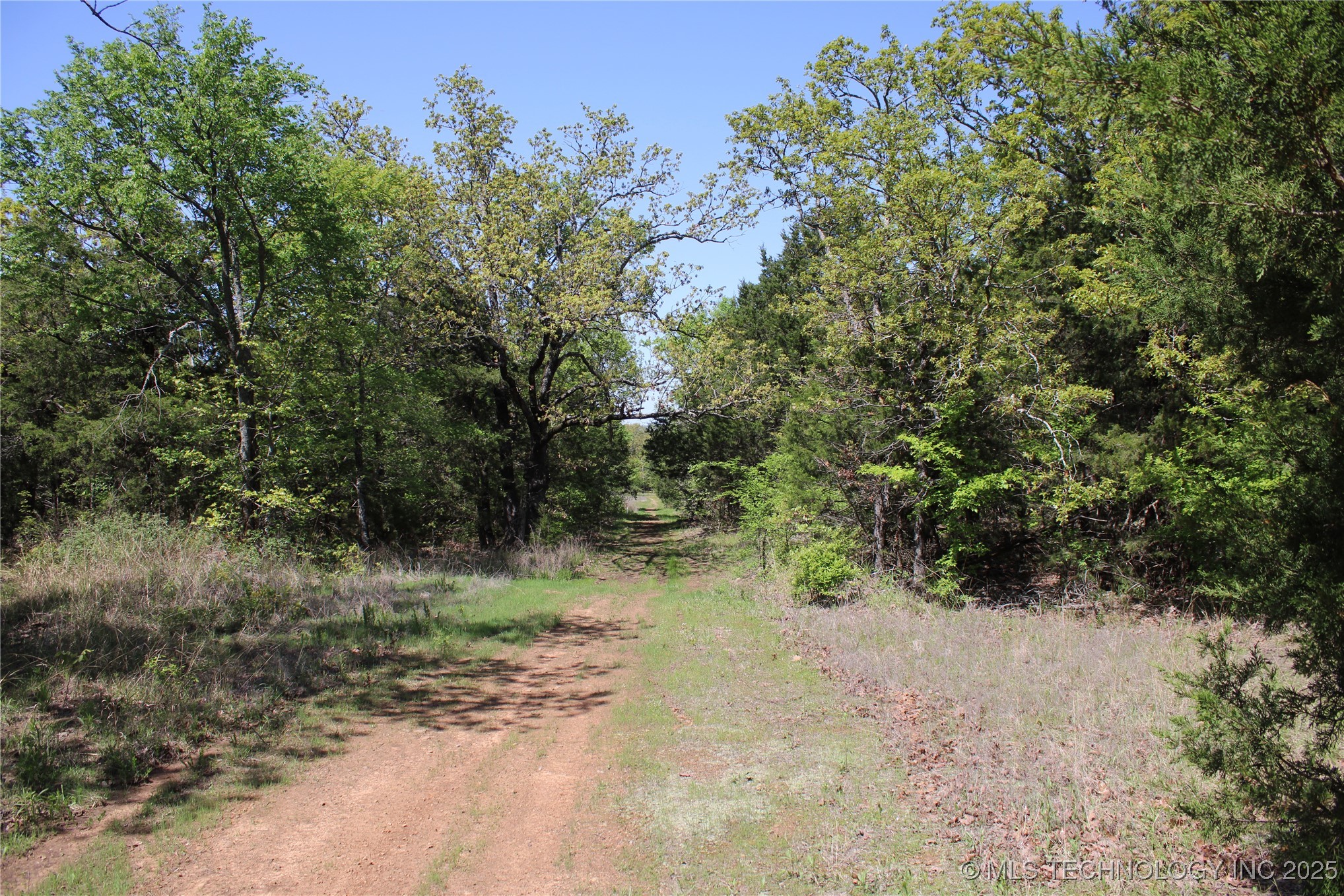 298 Krebs Lake Road Property Photo 5