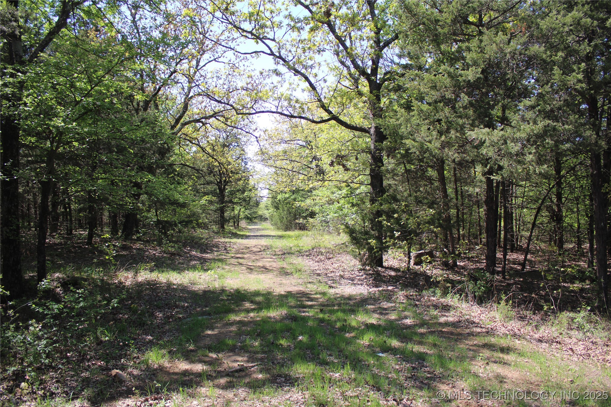 298 Krebs Lake Road Property Photo 6