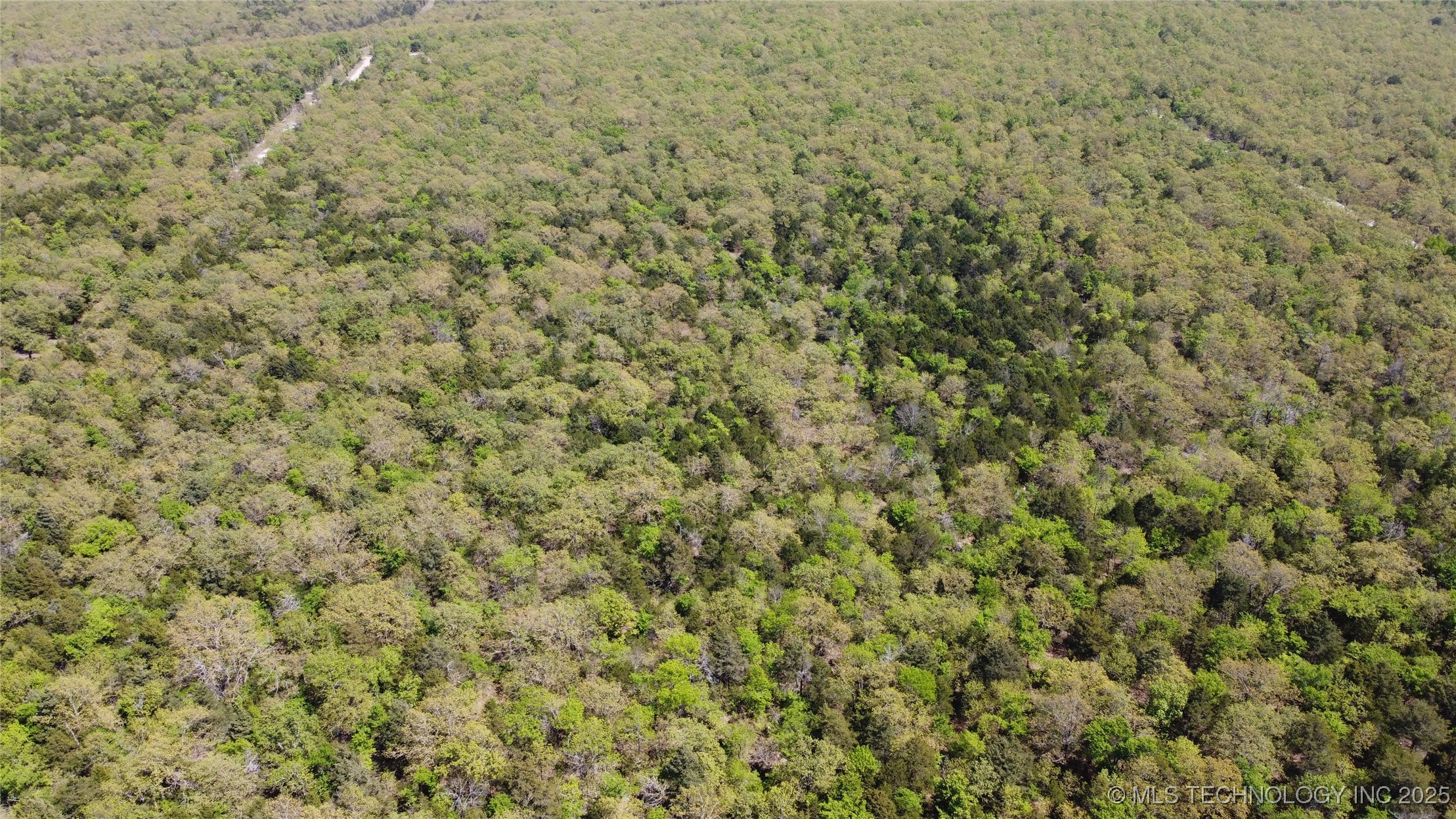 298 Krebs Lake Road Property Photo 9