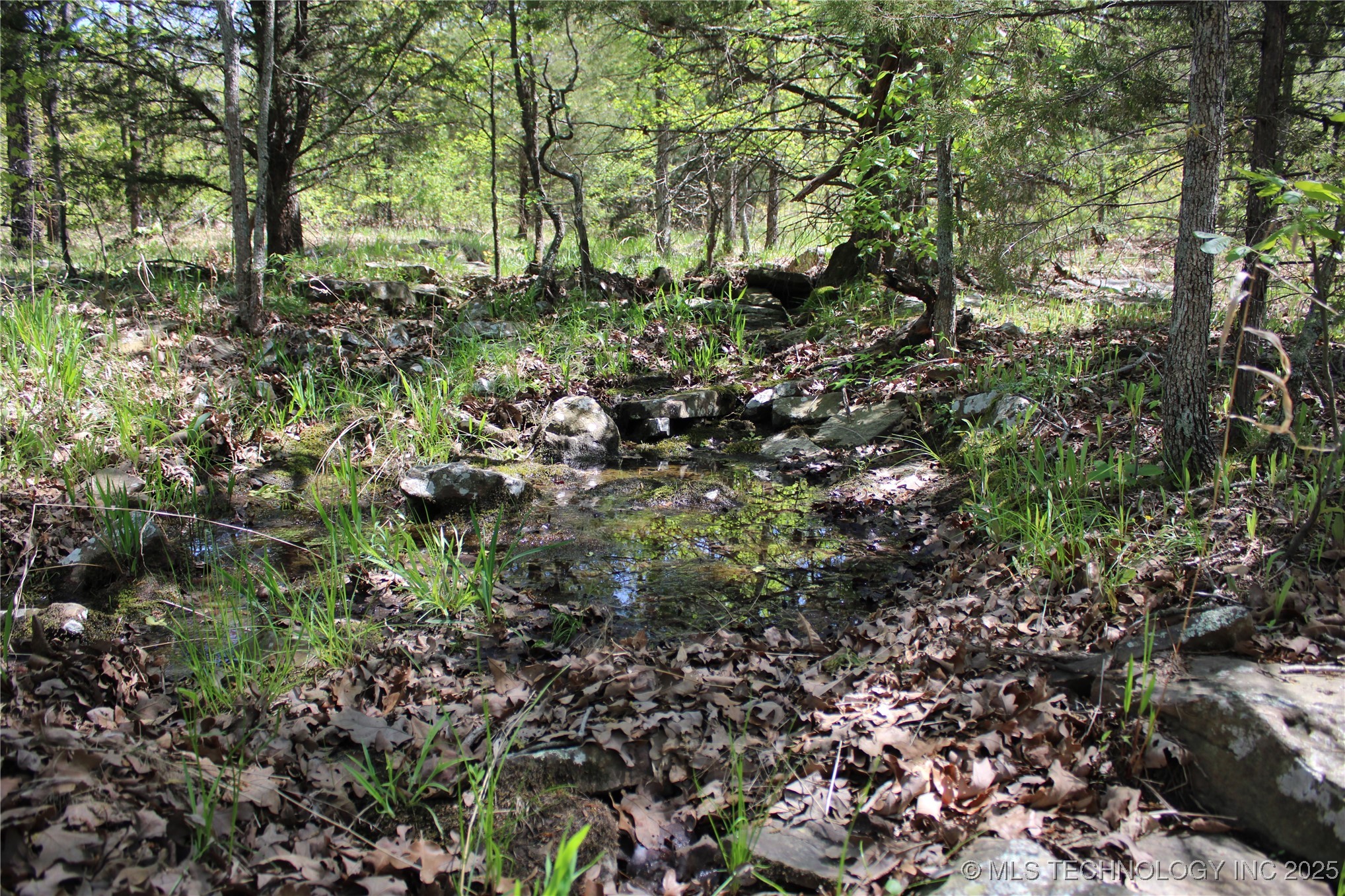 298 Krebs Lake Road Property Photo 22