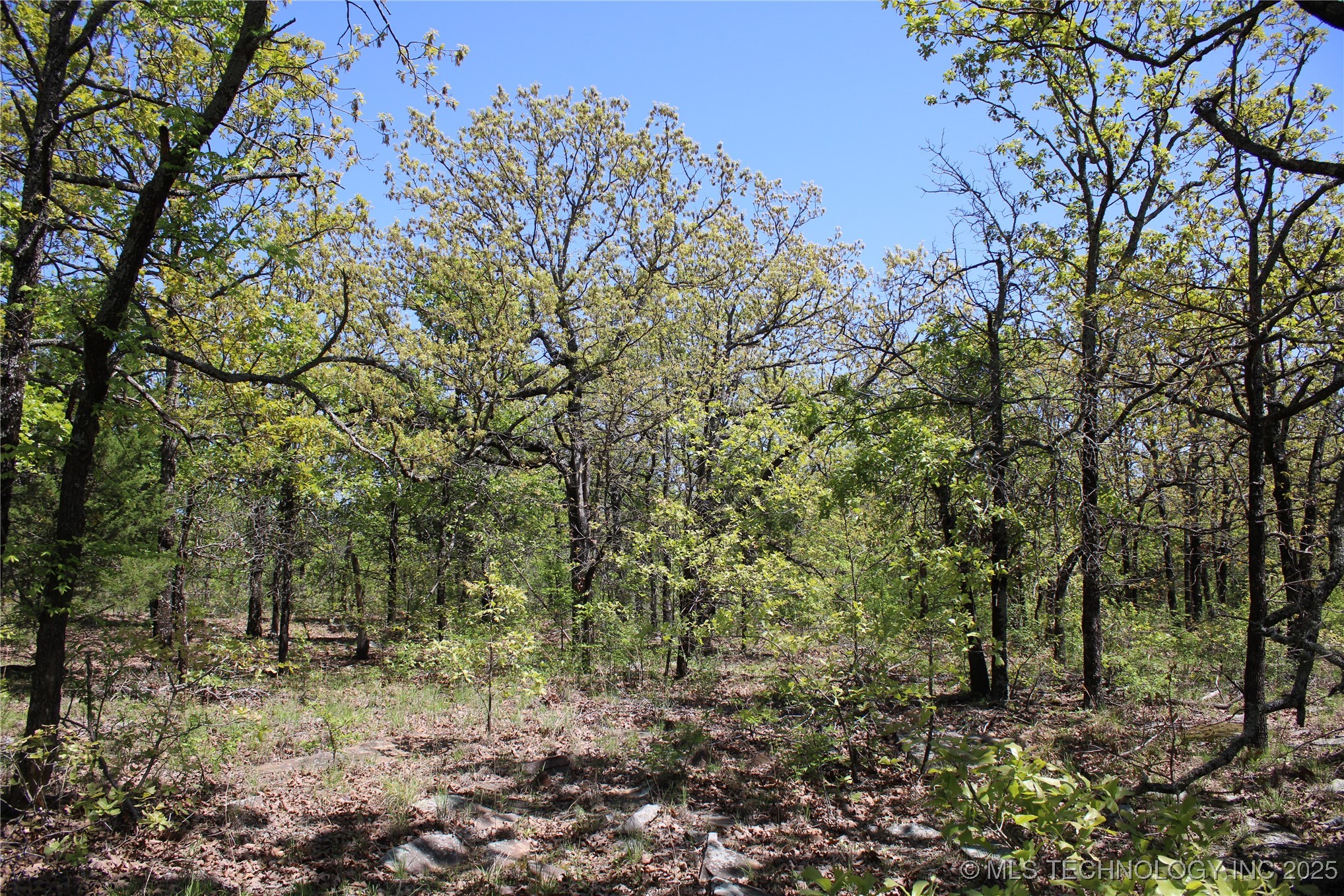 298 Krebs Lake Road Property Photo 23