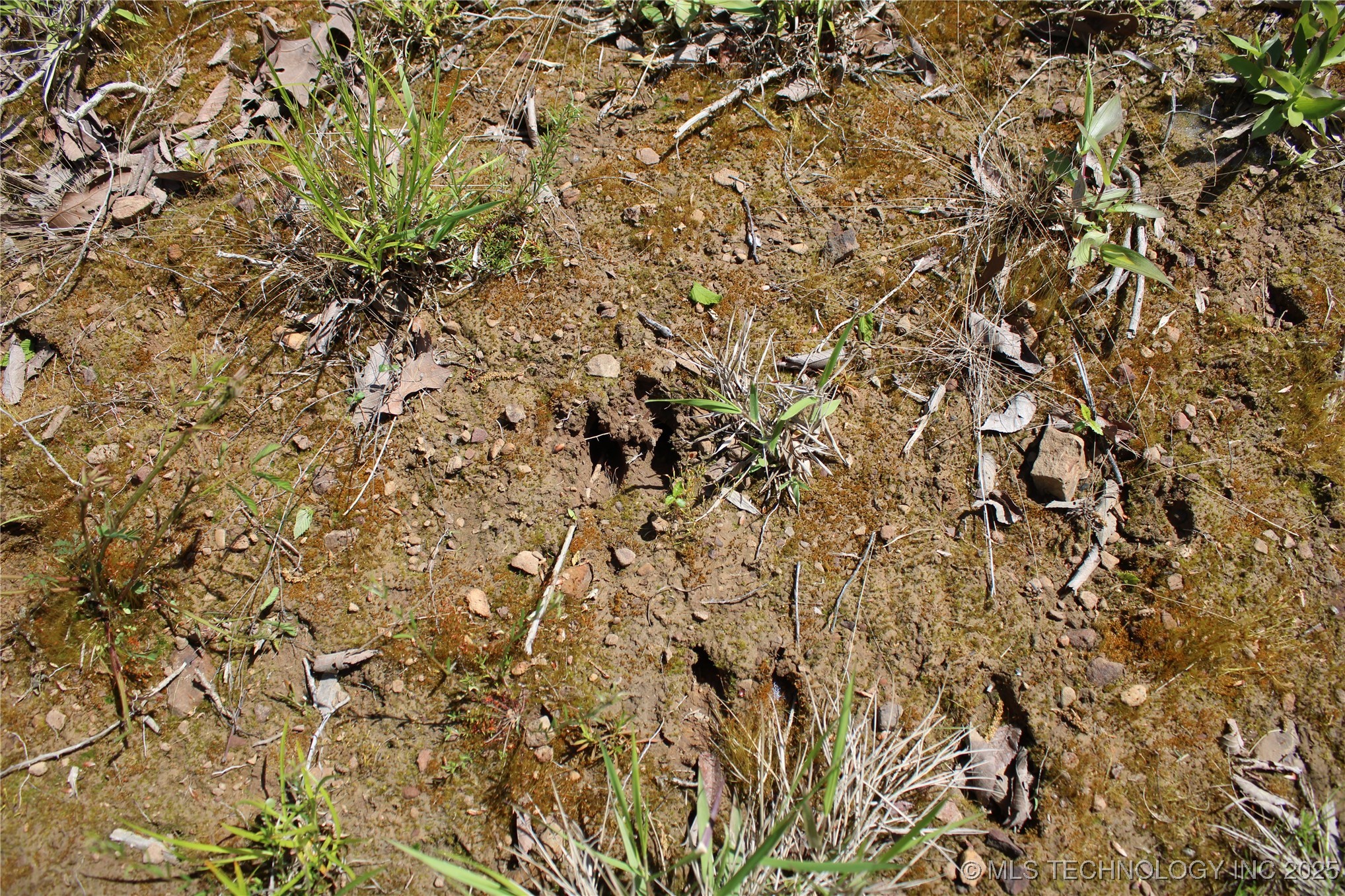 298 Krebs Lake Road Property Photo 27