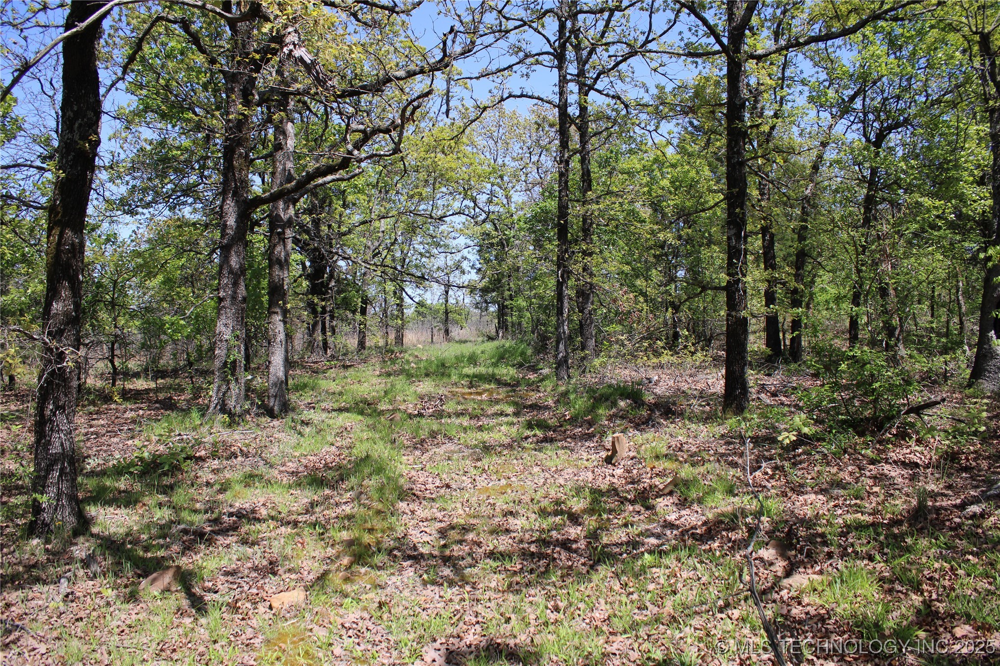 298 Krebs Lake Road Property Photo 34