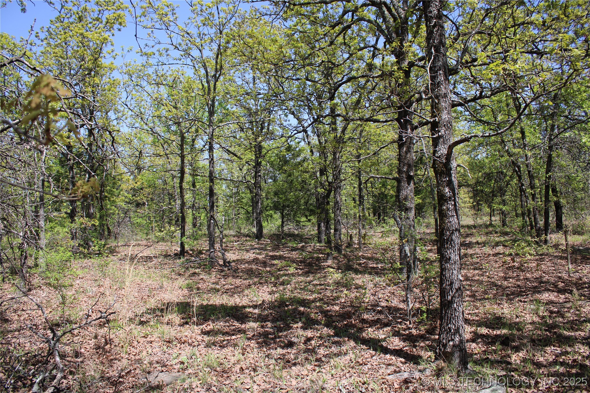 298 Krebs Lake Road Property Photo 35