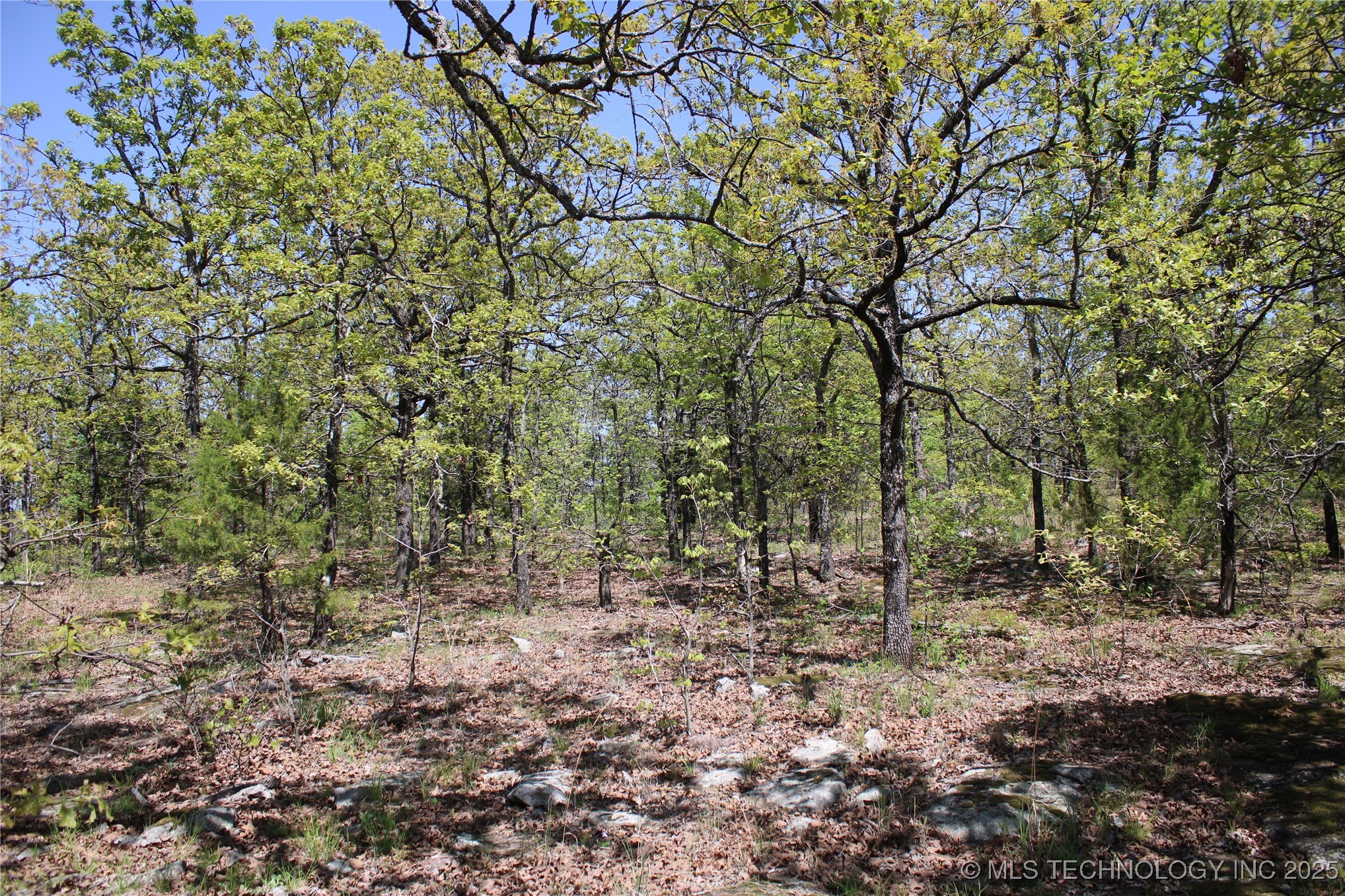 298 Krebs Lake Road Property Photo 36