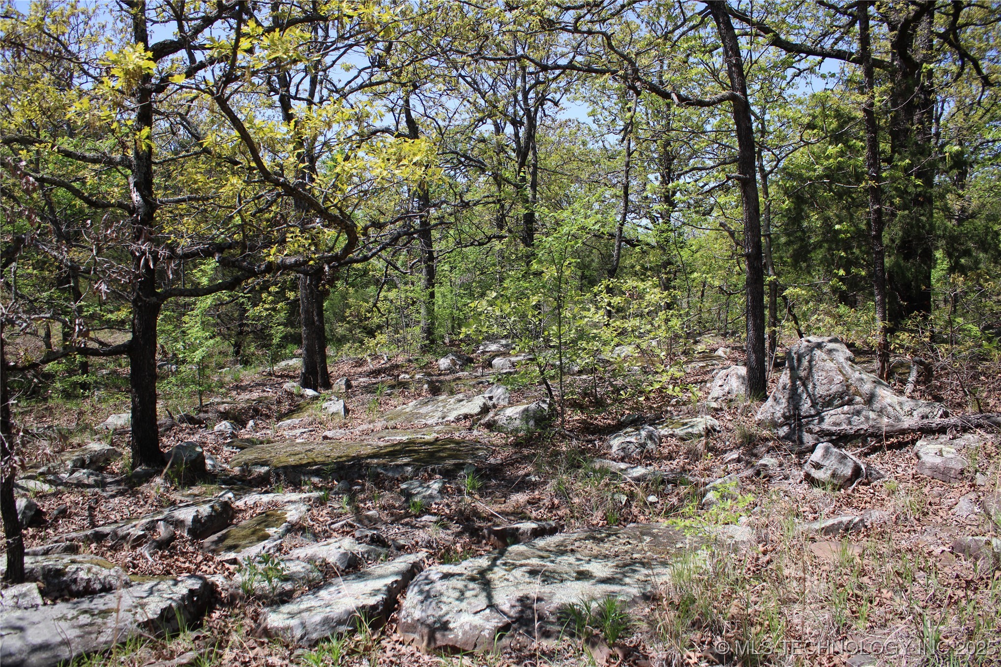 298 Krebs Lake Road Property Photo 37