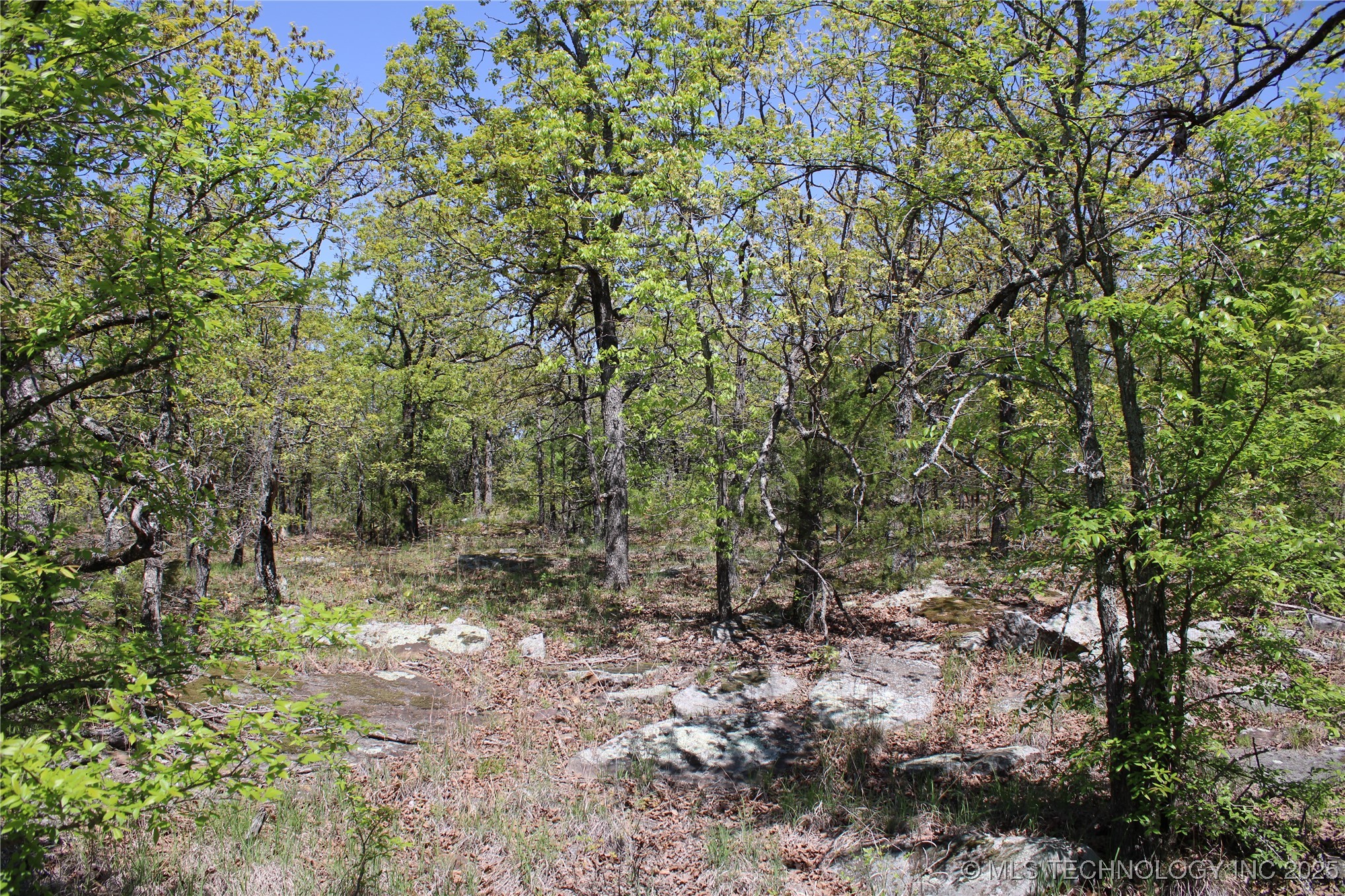 298 Krebs Lake Road Property Photo 38