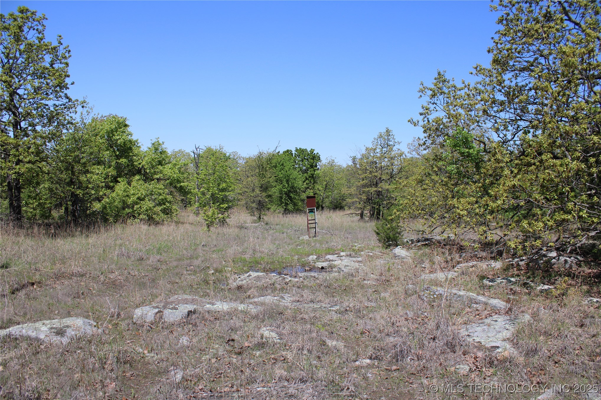 298 Krebs Lake Road Property Photo 39