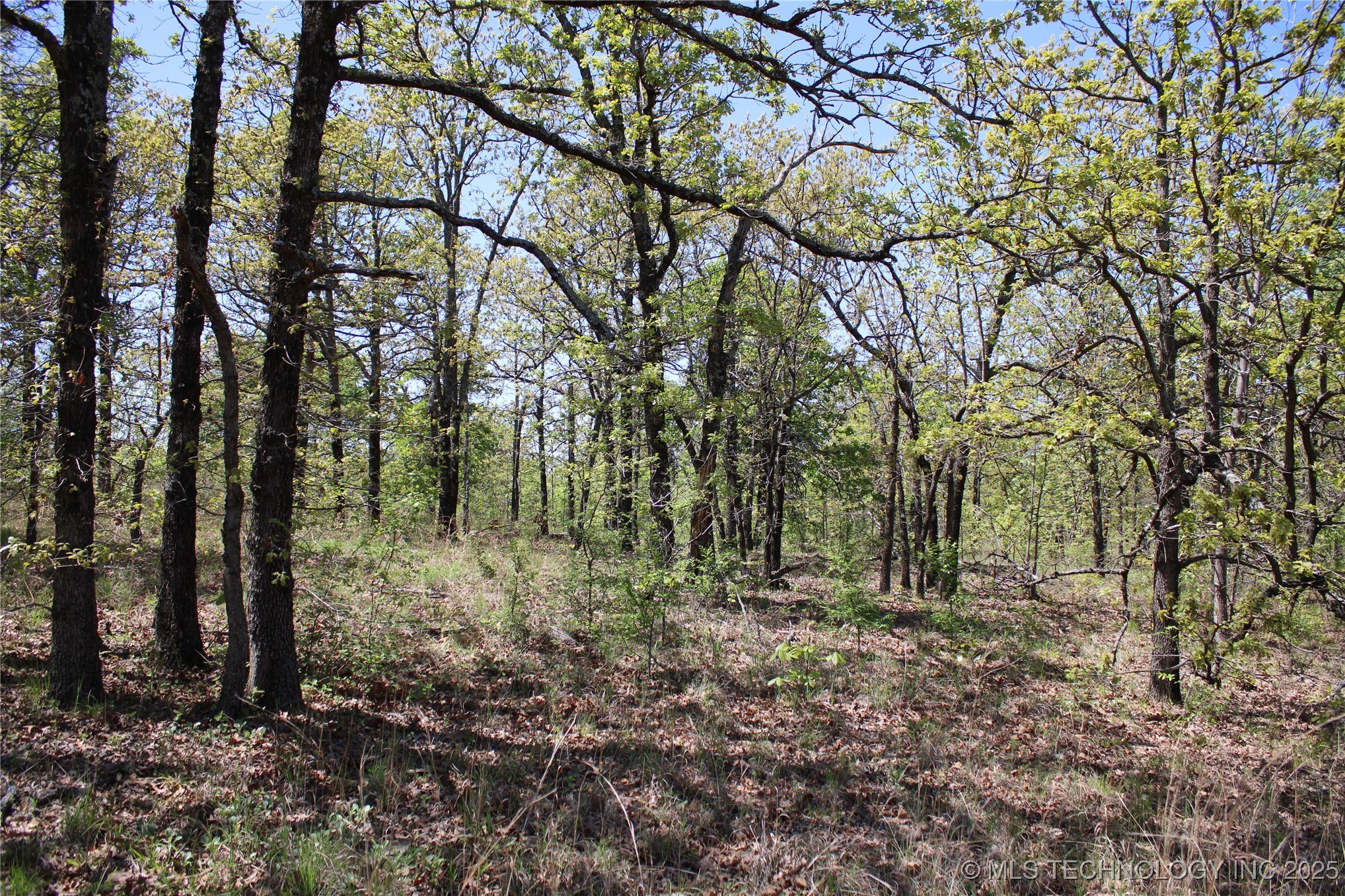 298 Krebs Lake Road Property Photo 40