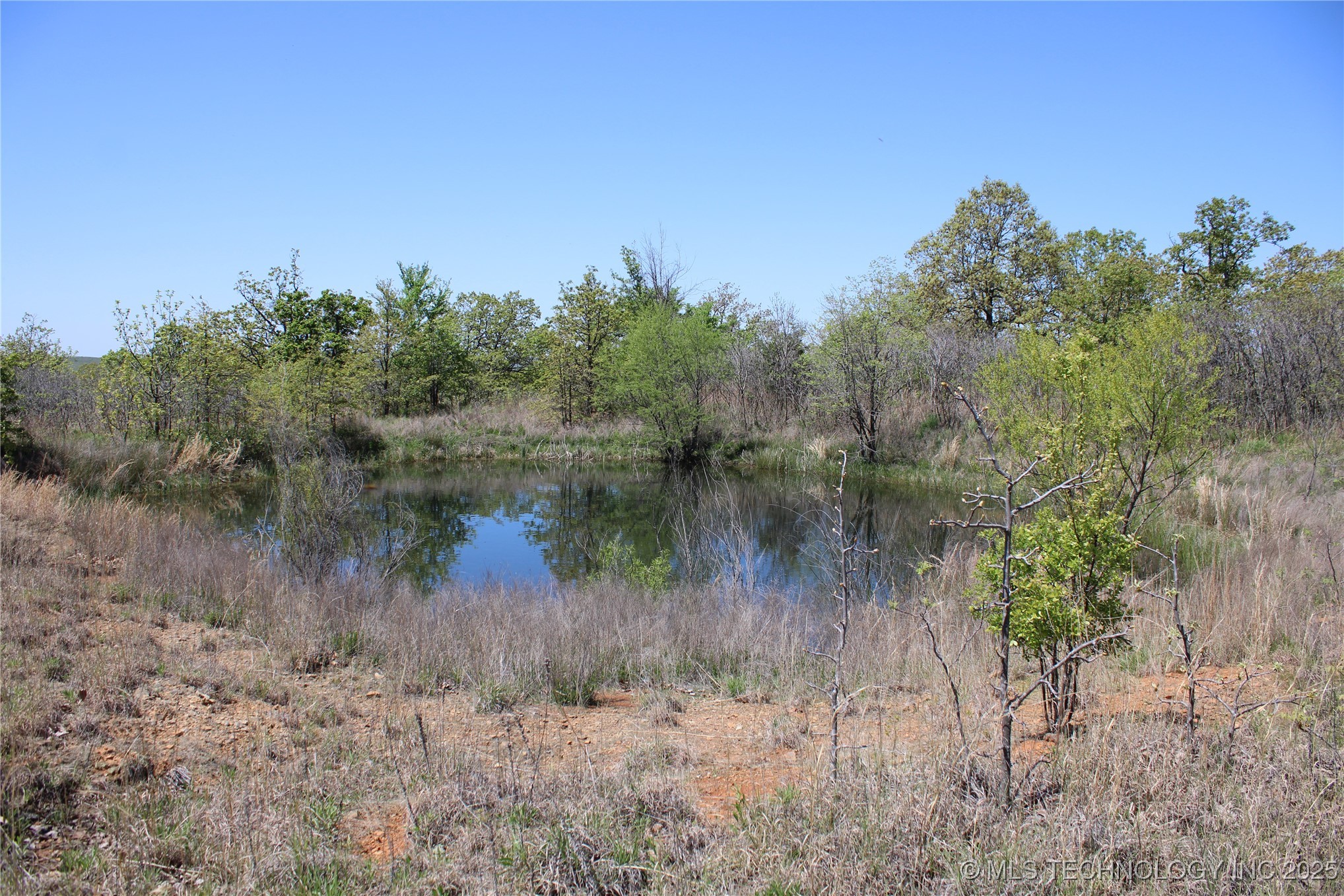 298 Krebs Lake Road Property Photo 41