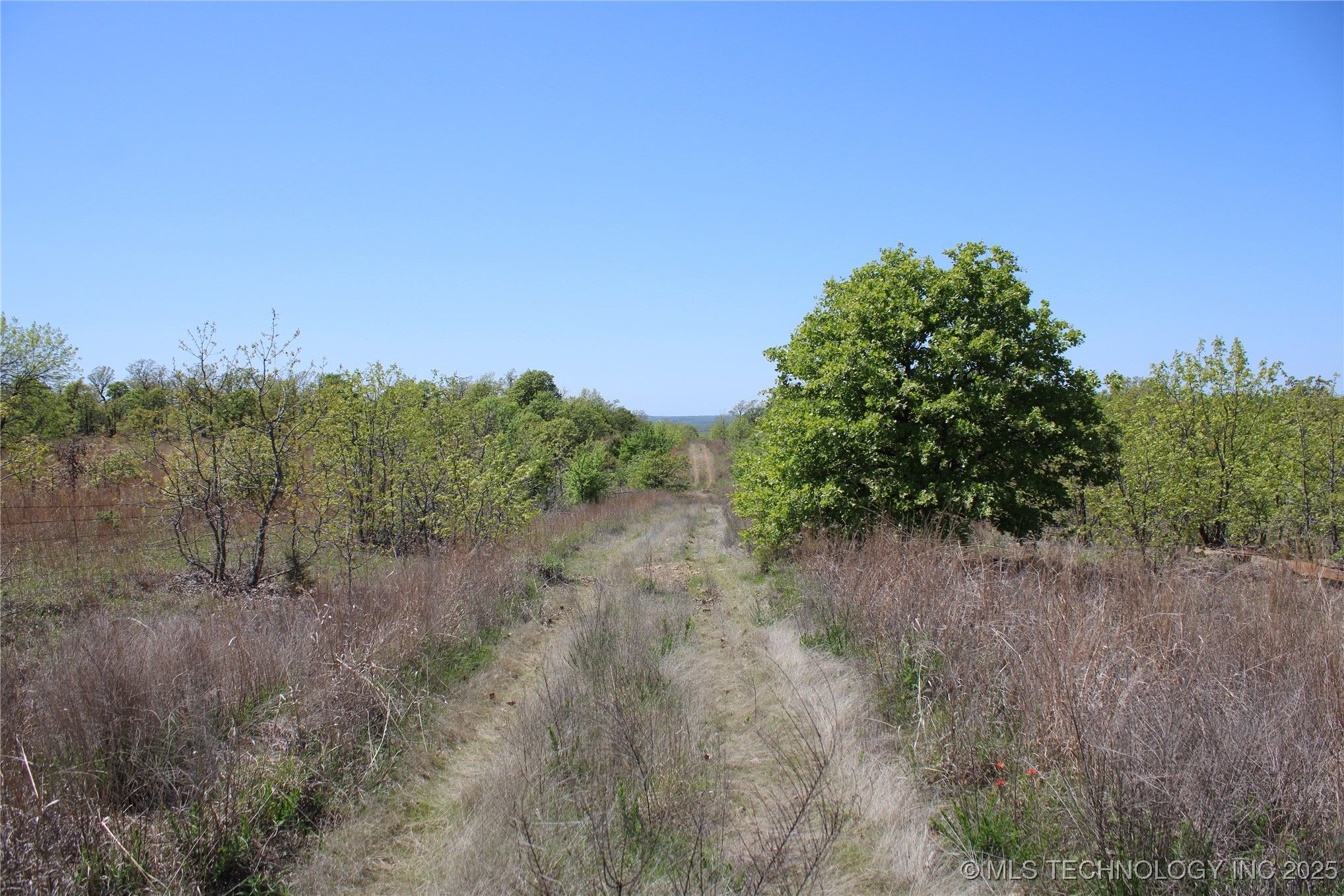 298 Krebs Lake Road Property Photo 42