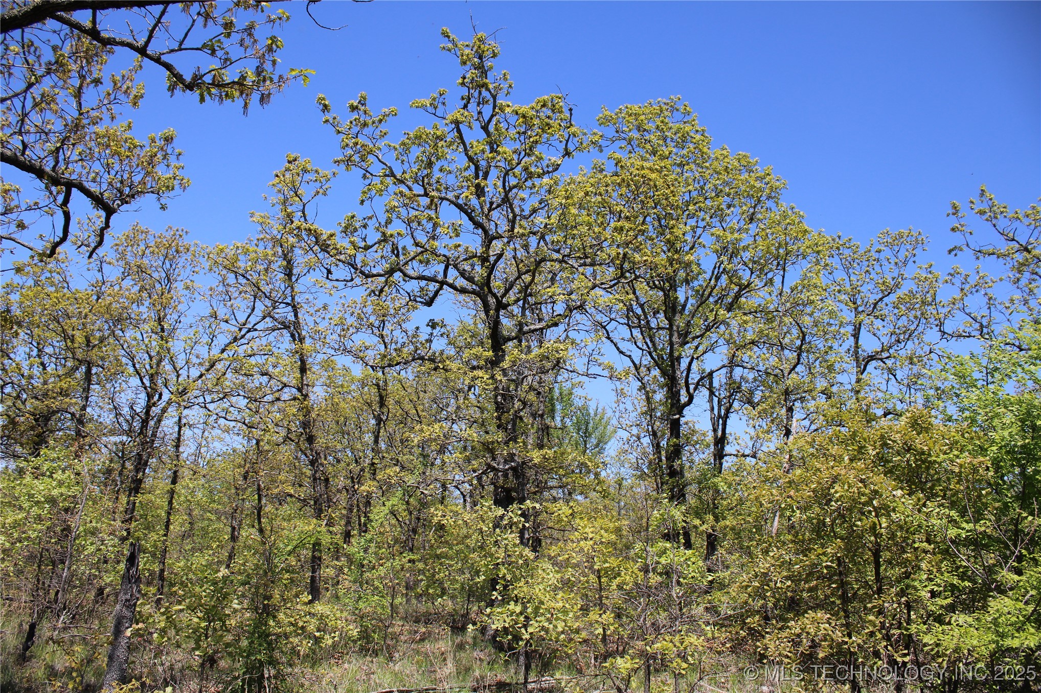 298 Krebs Lake Road Property Photo 43