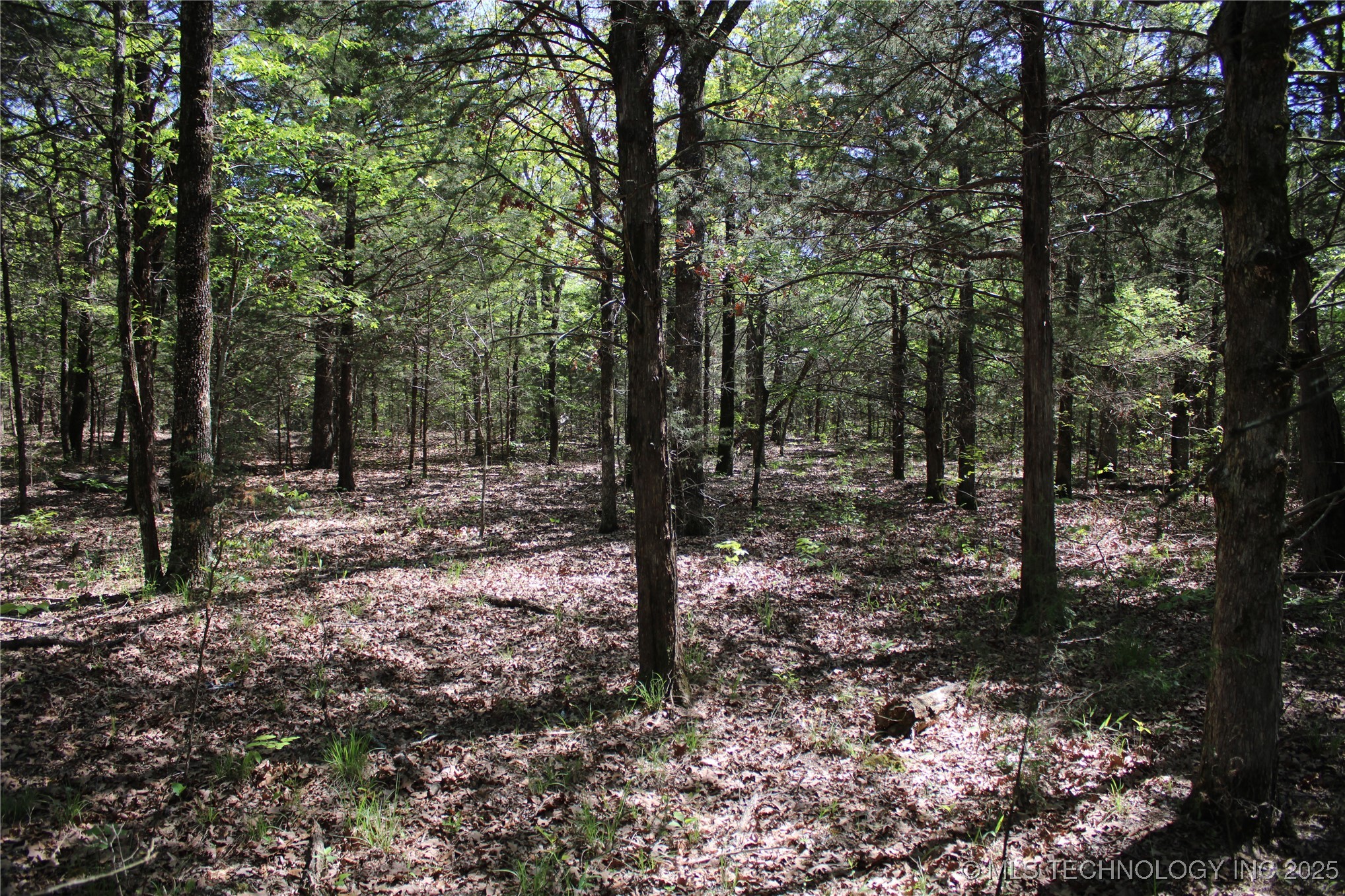 298 Krebs Lake Road Property Photo 45