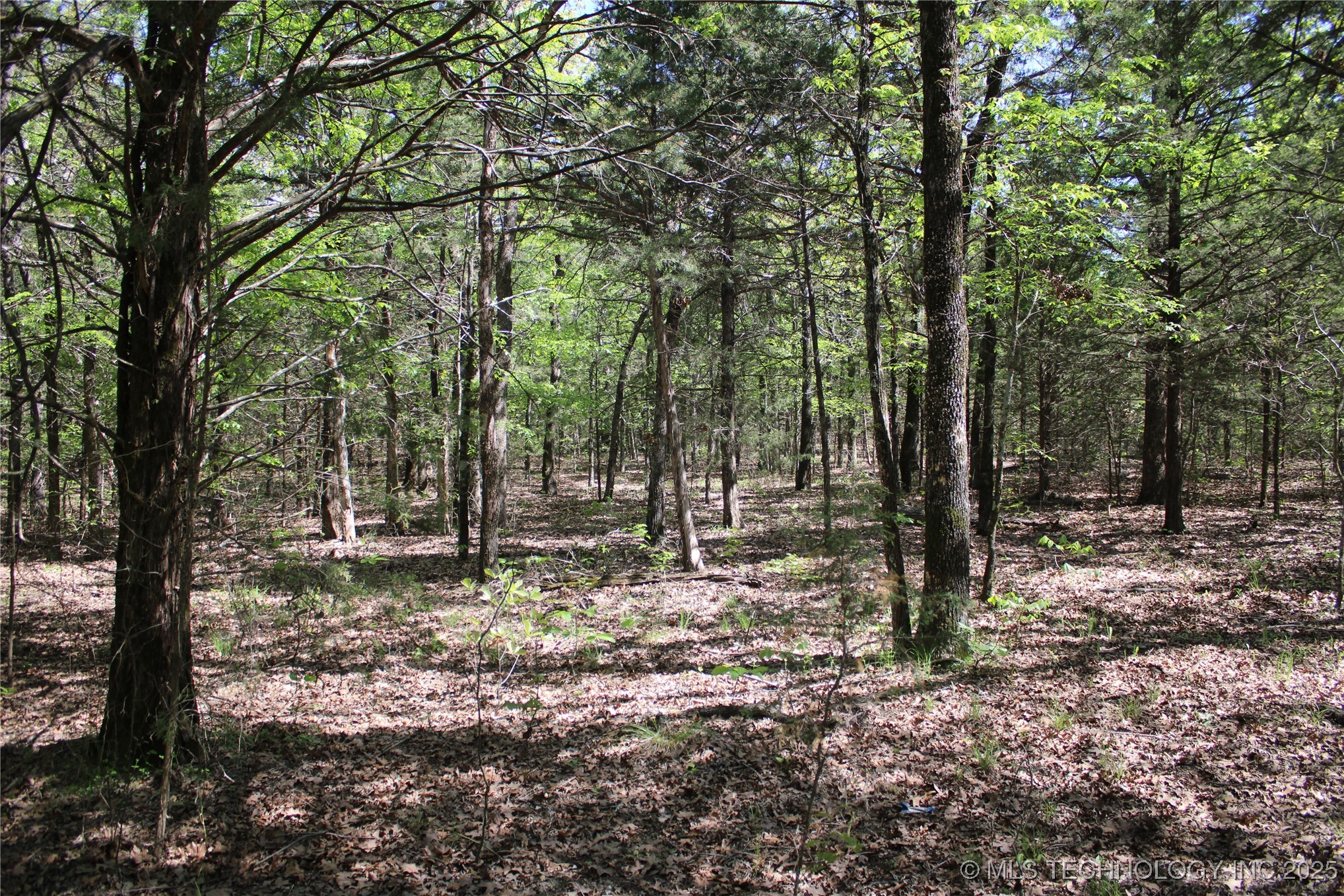 298 Krebs Lake Road Property Photo 46